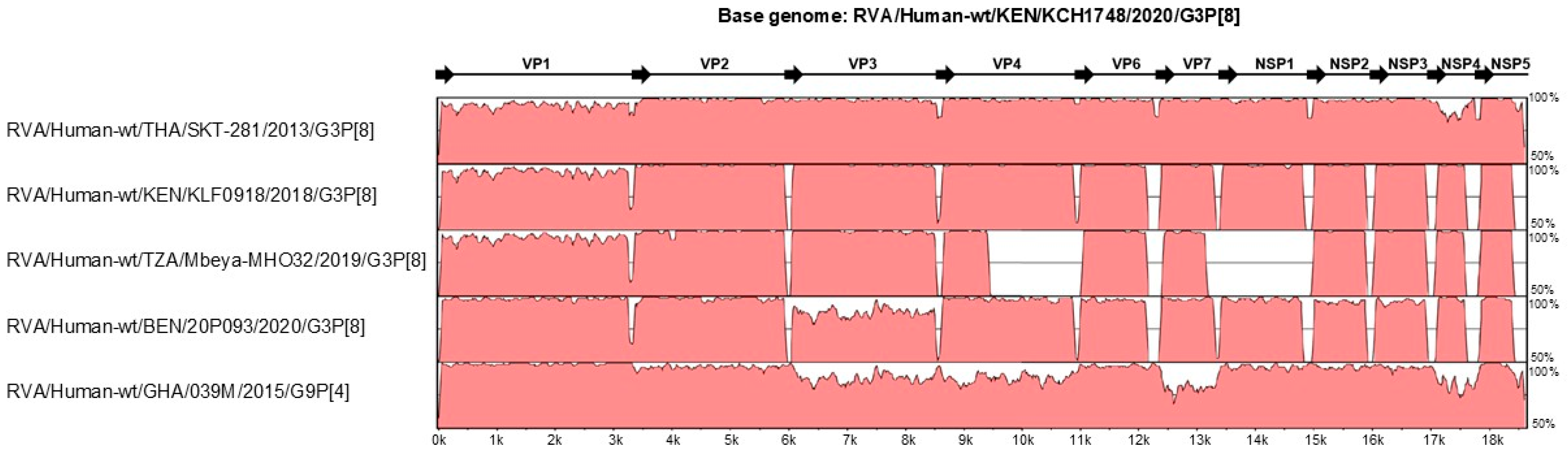 Viruses 18 00930 g002 Viruses 18 00930 g002