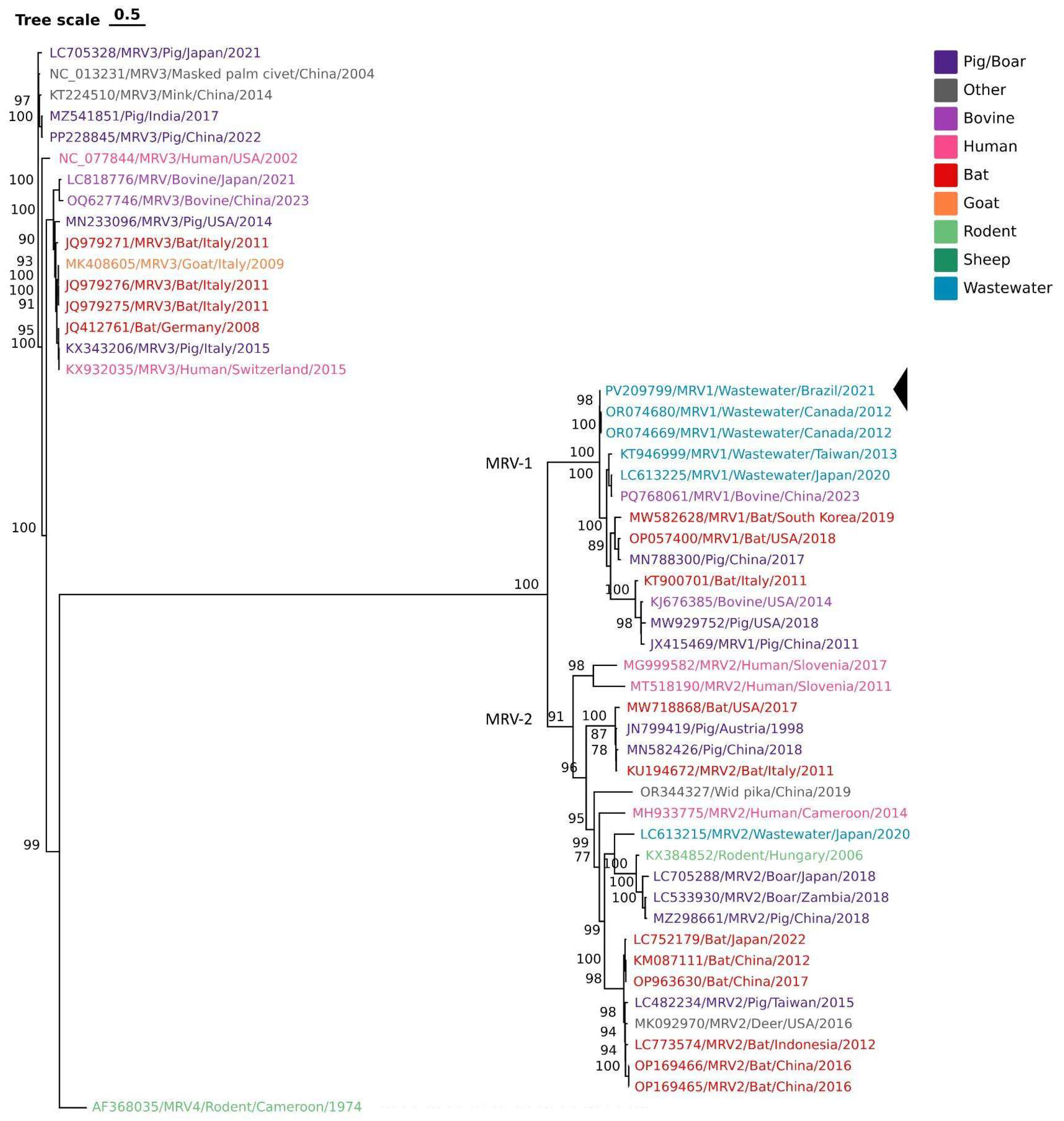 Viruses 18 01161 g004 Viruses 18 01161 g004