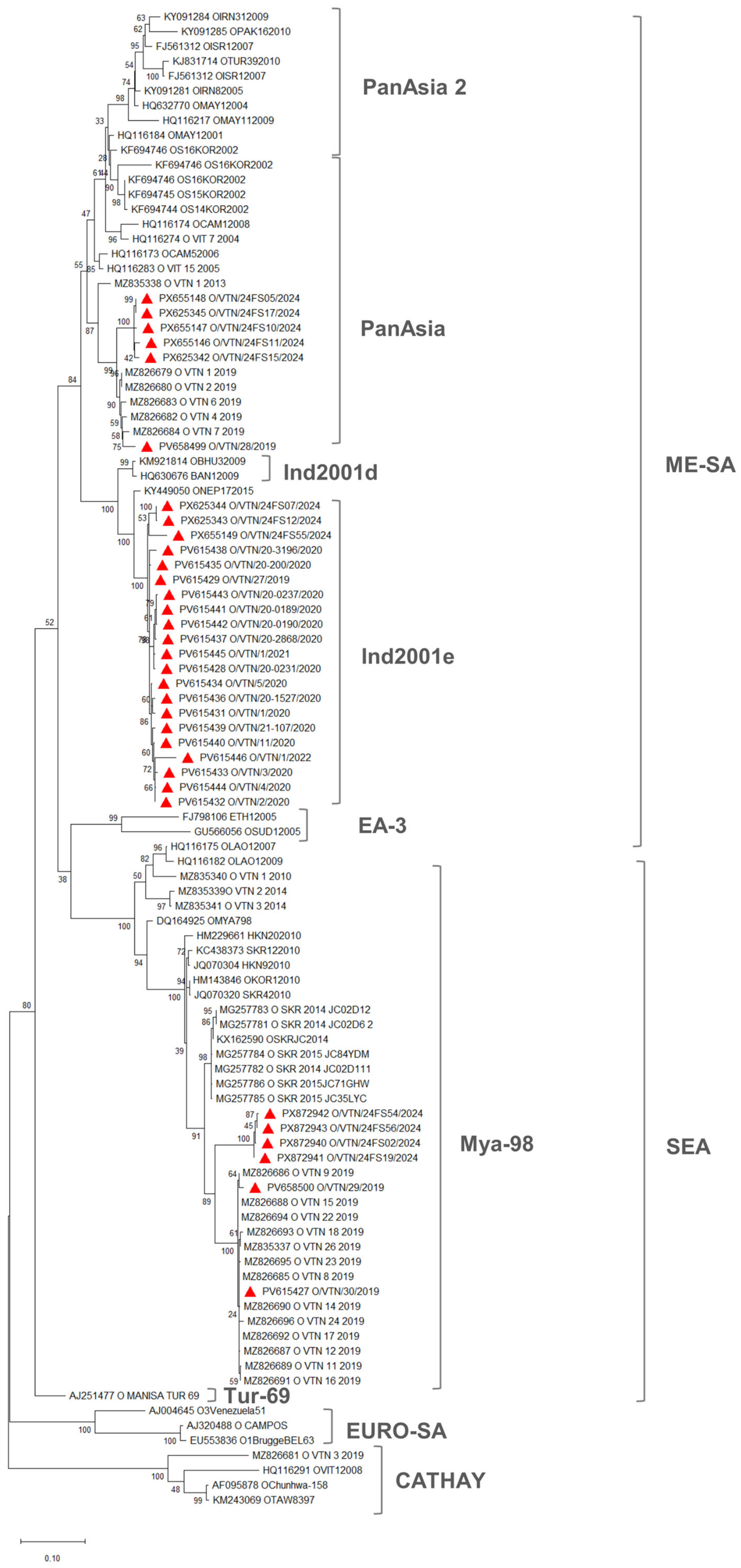 Viruses 18 01176 g001 Viruses 18 01176 g001