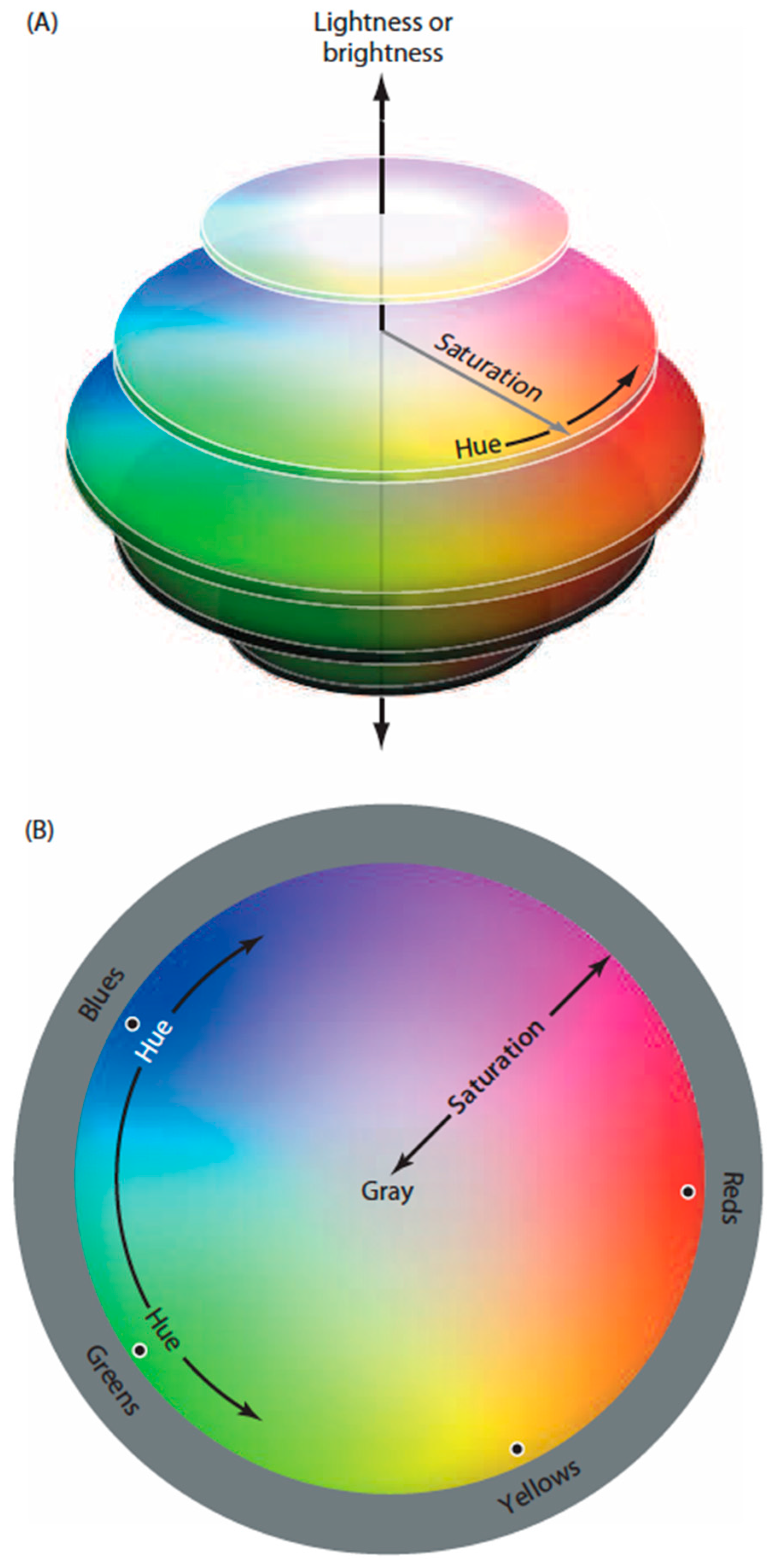 Vision 01 00009 g001
