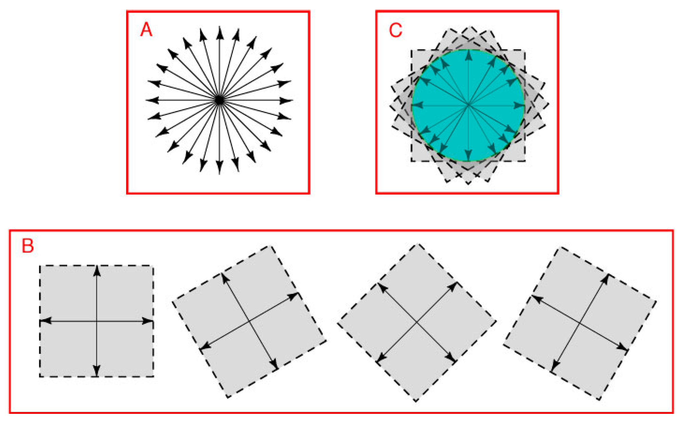 Vision 01 00009 g004
