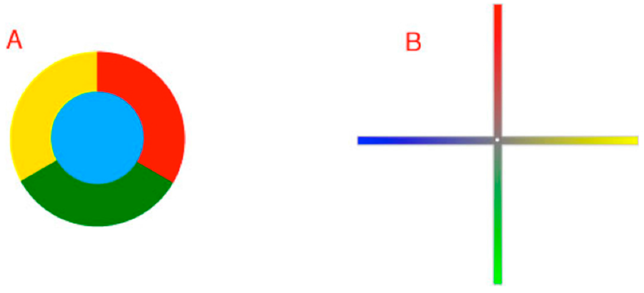 Vision 01 00009 g005