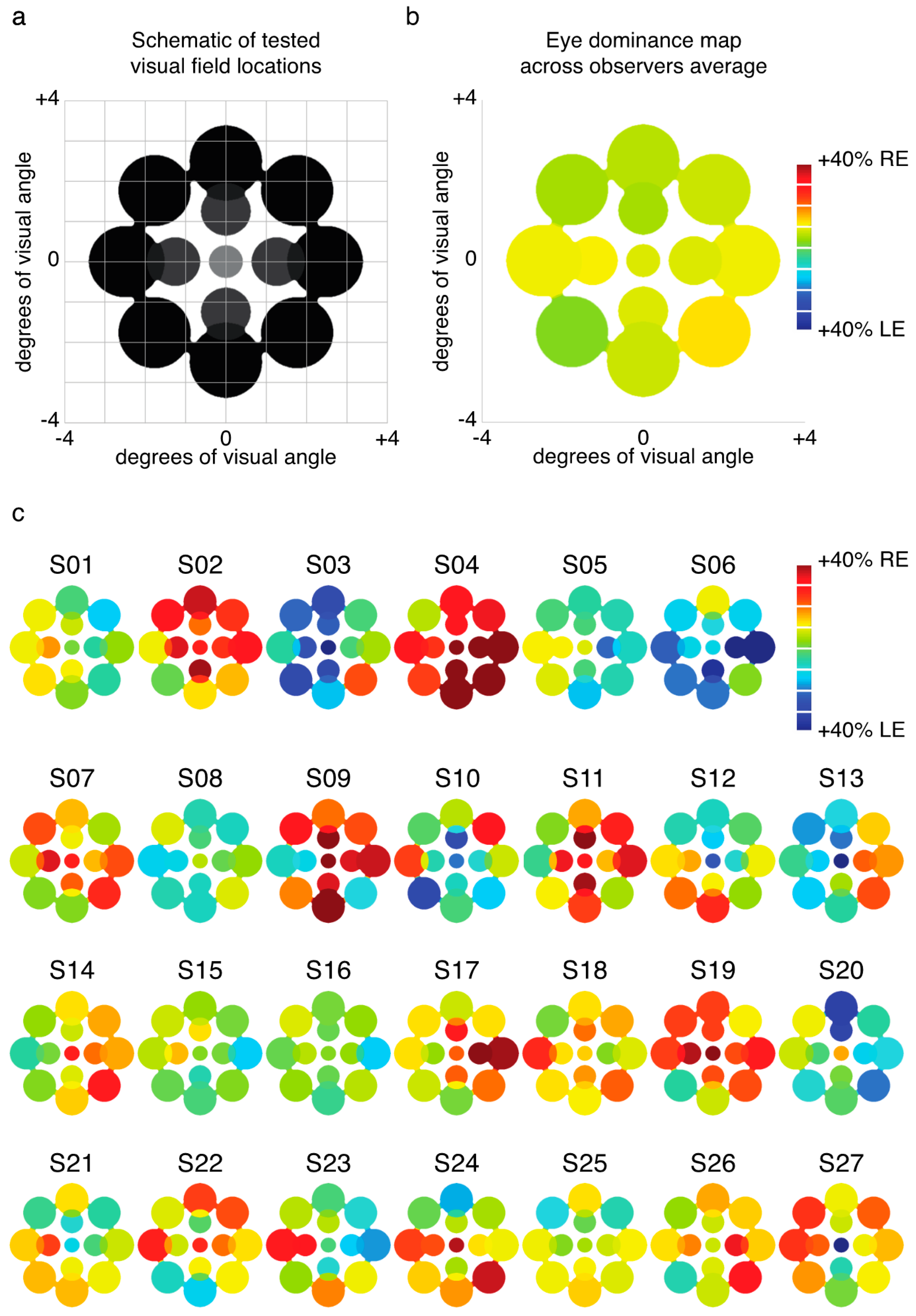 Vision 01 00018 g001