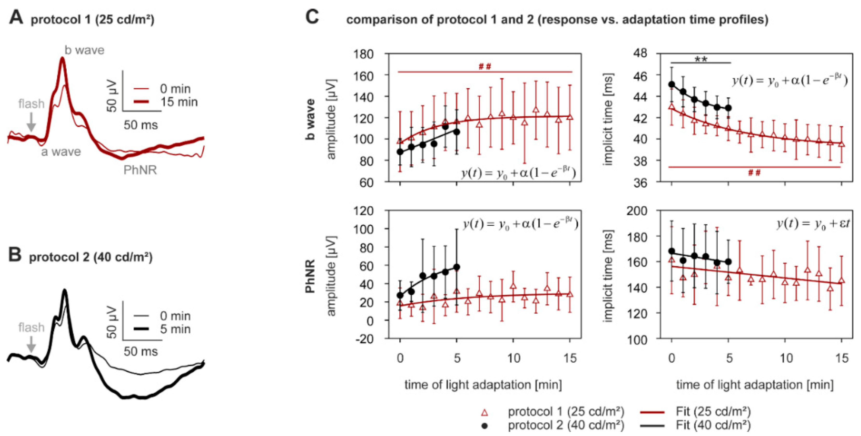 Vision 01 00023 g001