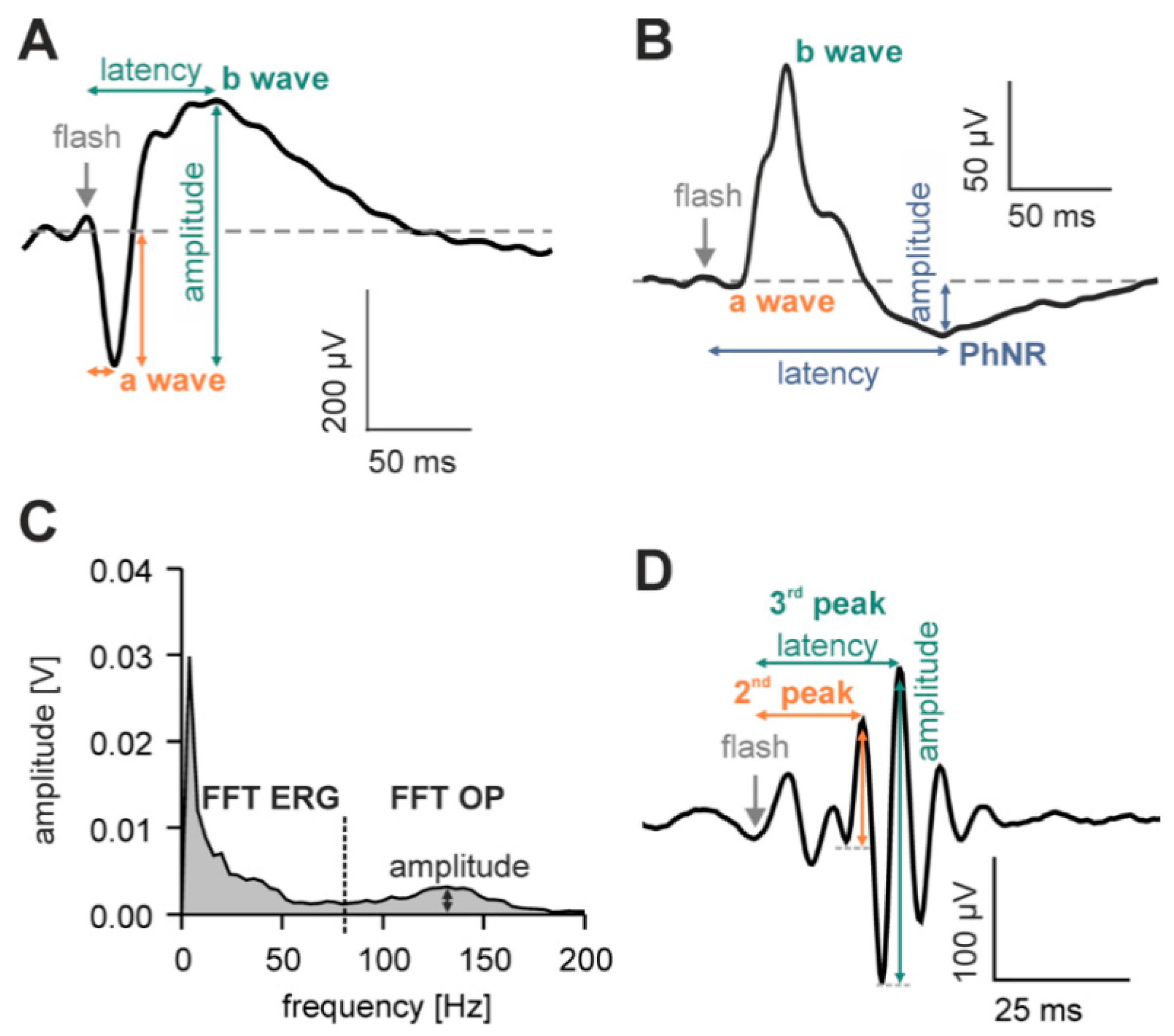 Vision 01 00023 g008