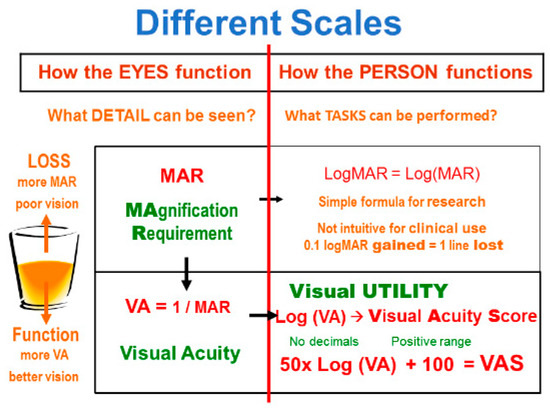 Vision 02 00004 g0a2 550