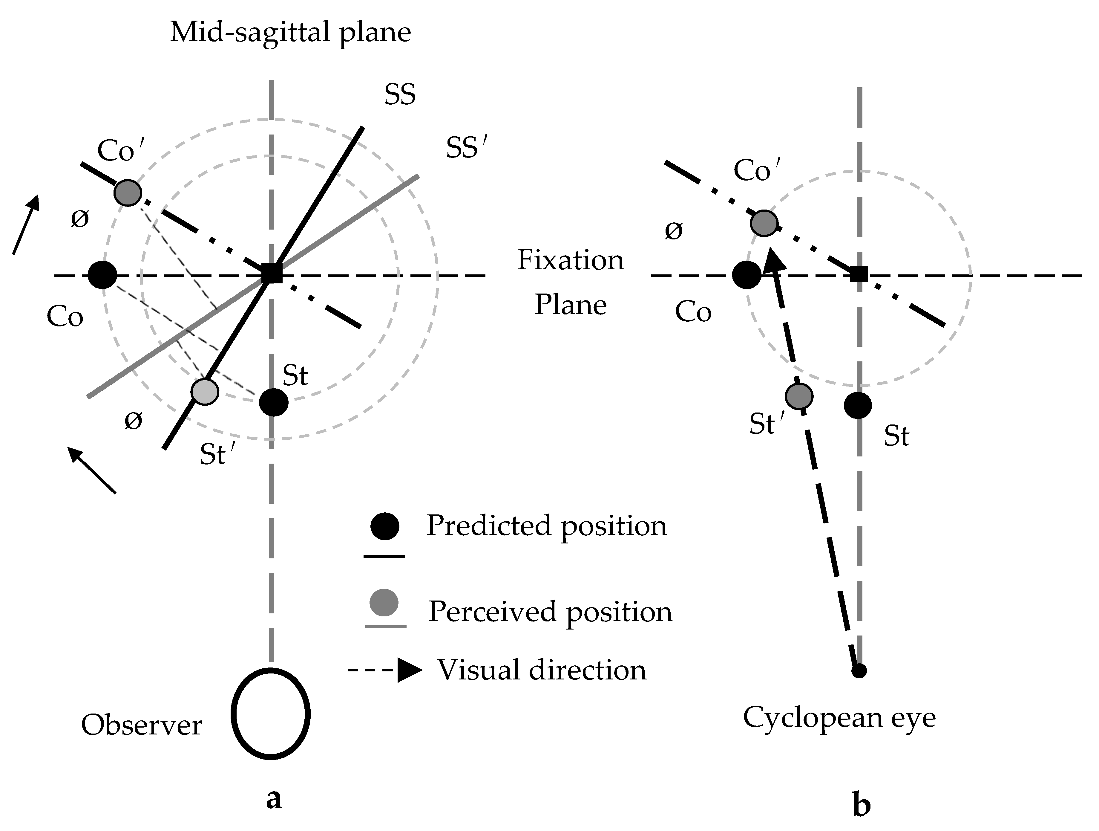 Vision 02 00020 g003