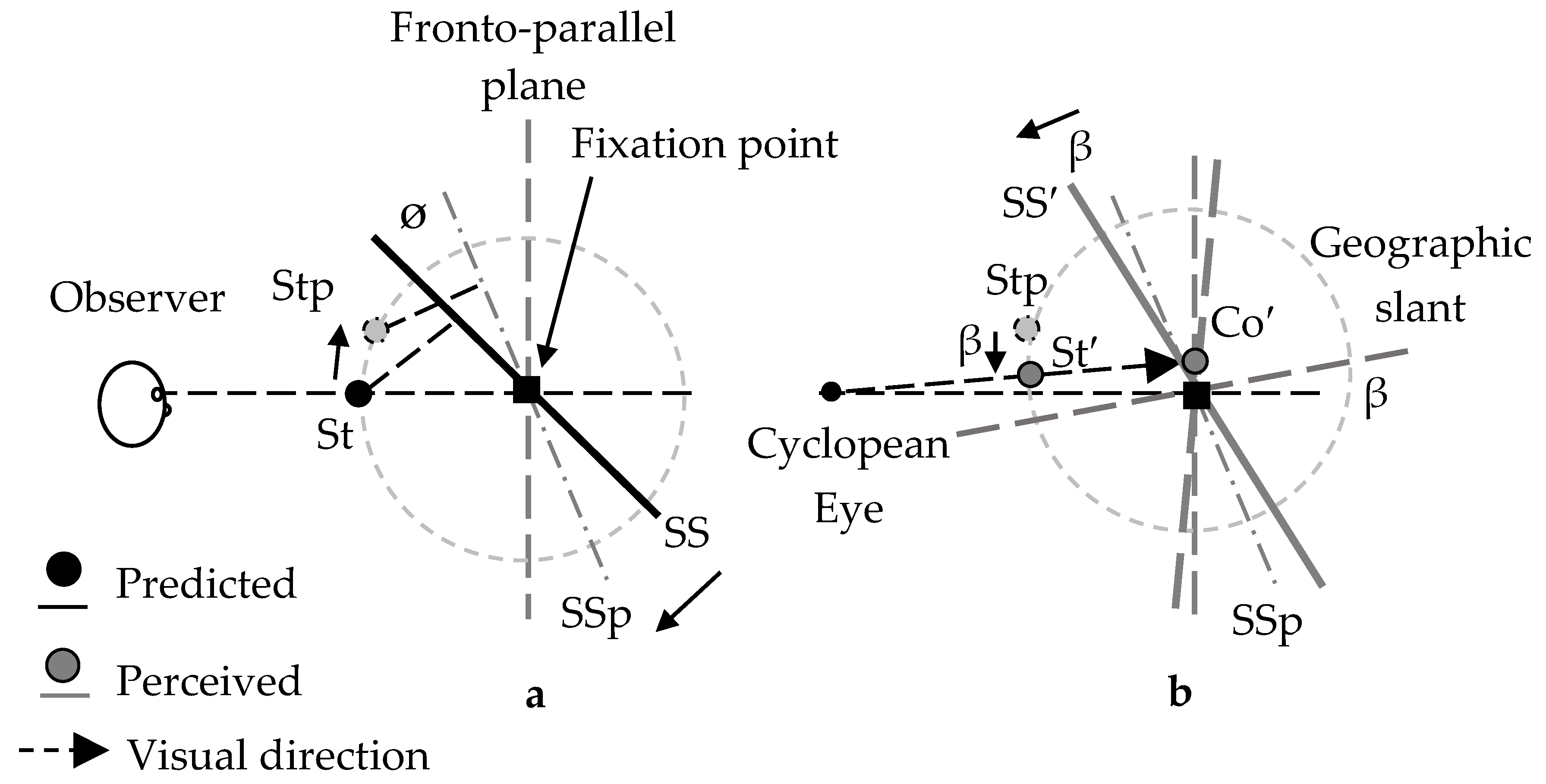 Vision 02 00020 g005