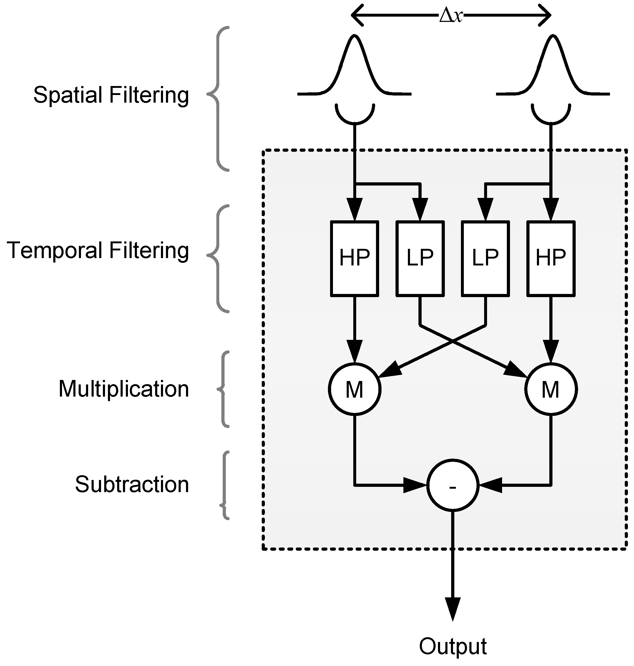 Vision 02 00032 g008 Vision 02 00032 g008