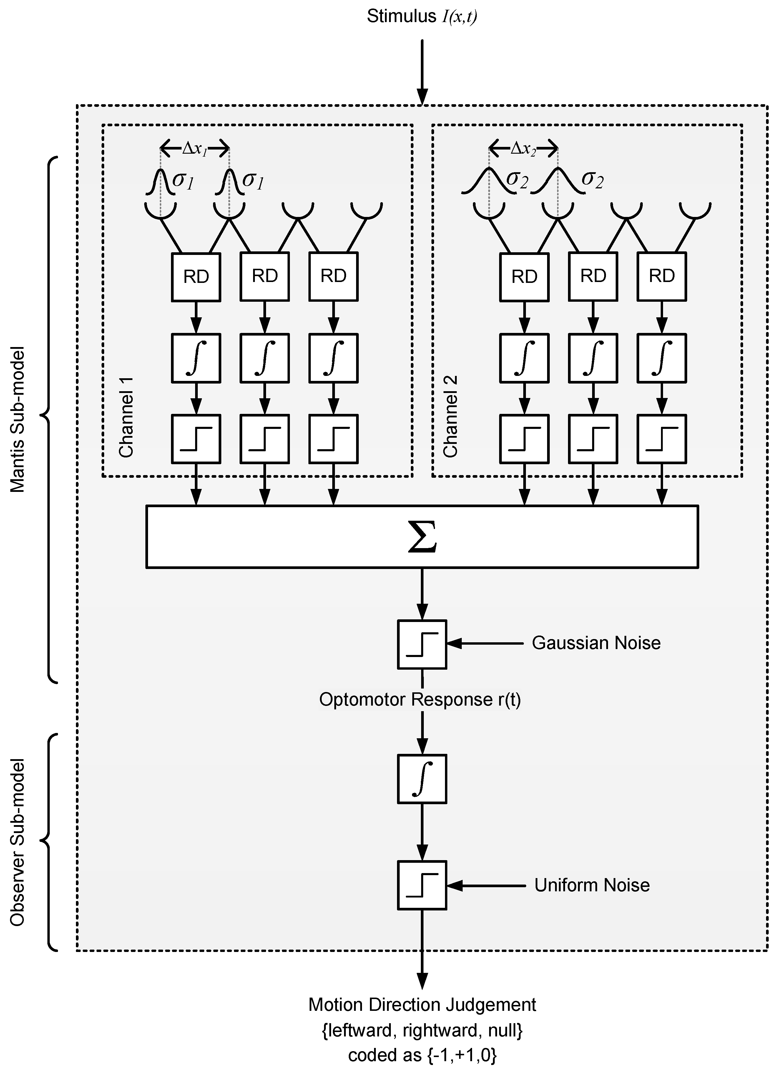 Vision 02 00032 g009 Vision 02 00032 g009