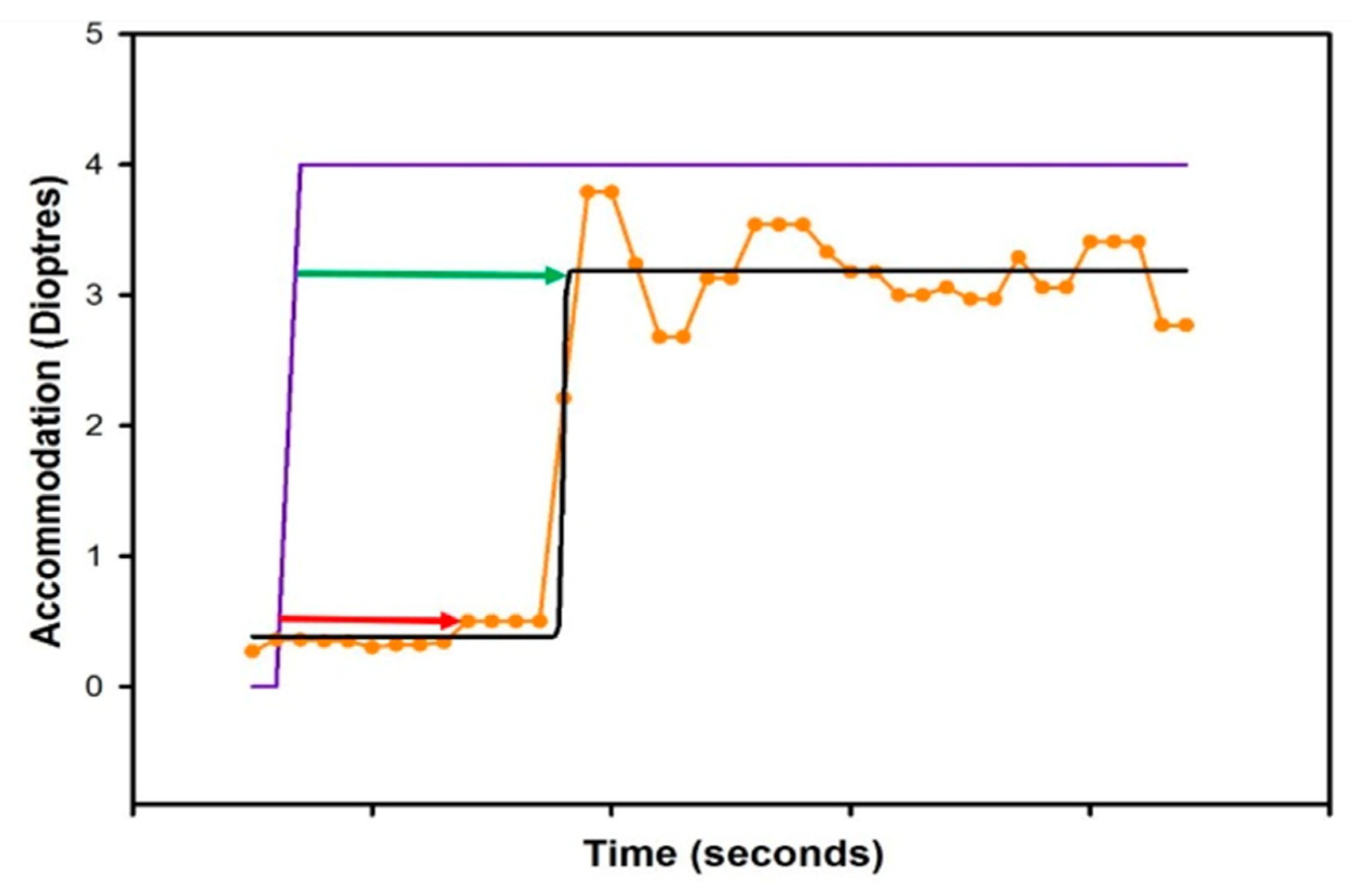 Vision 02 00034 g001 Vision 02 00034 g001