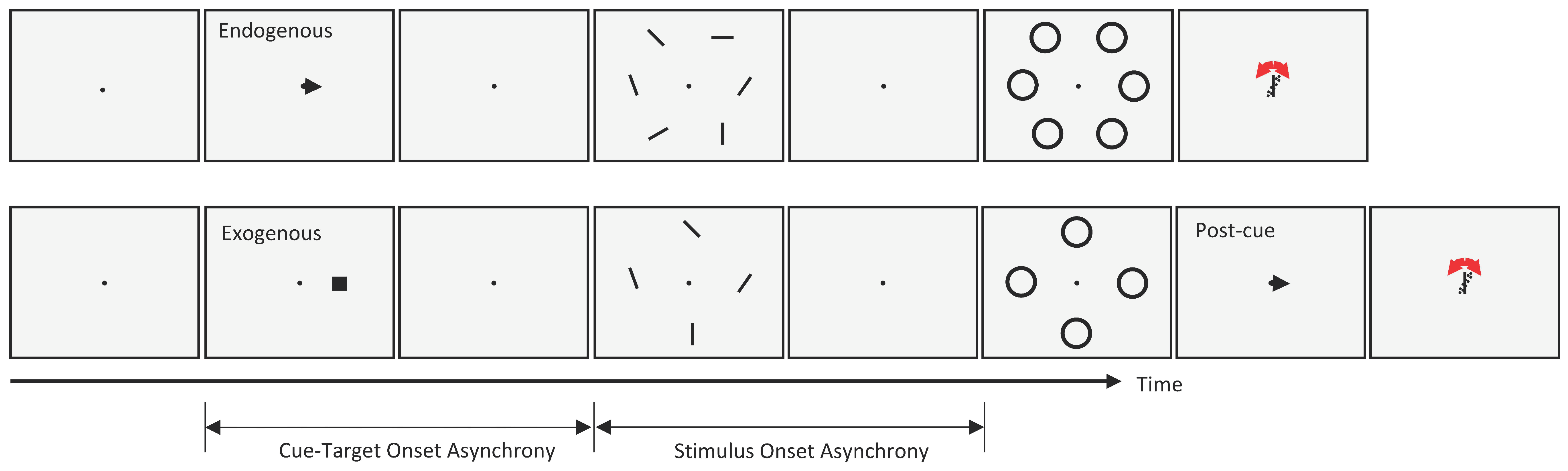 Vision 02 00039 g001