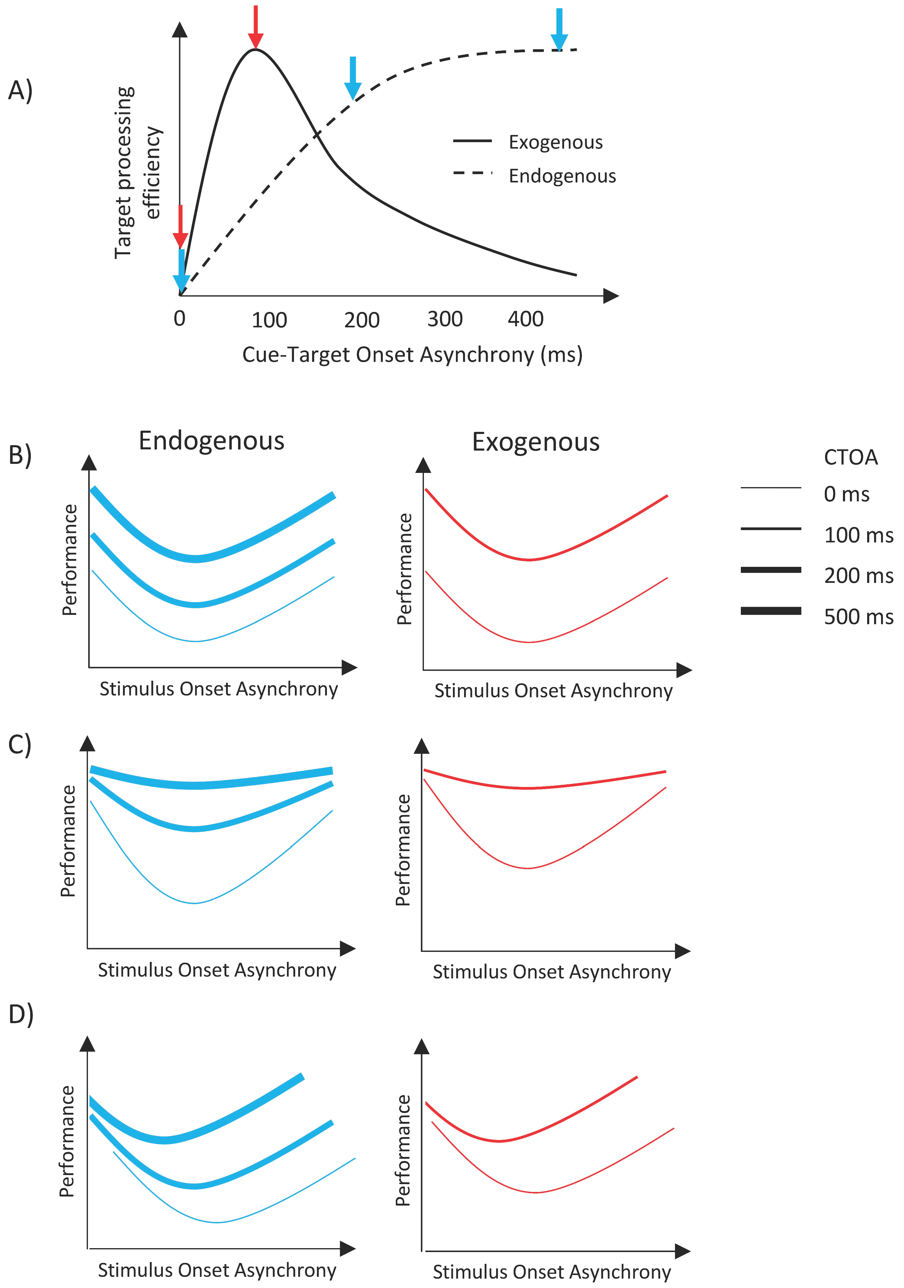 Vision 02 00039 g002