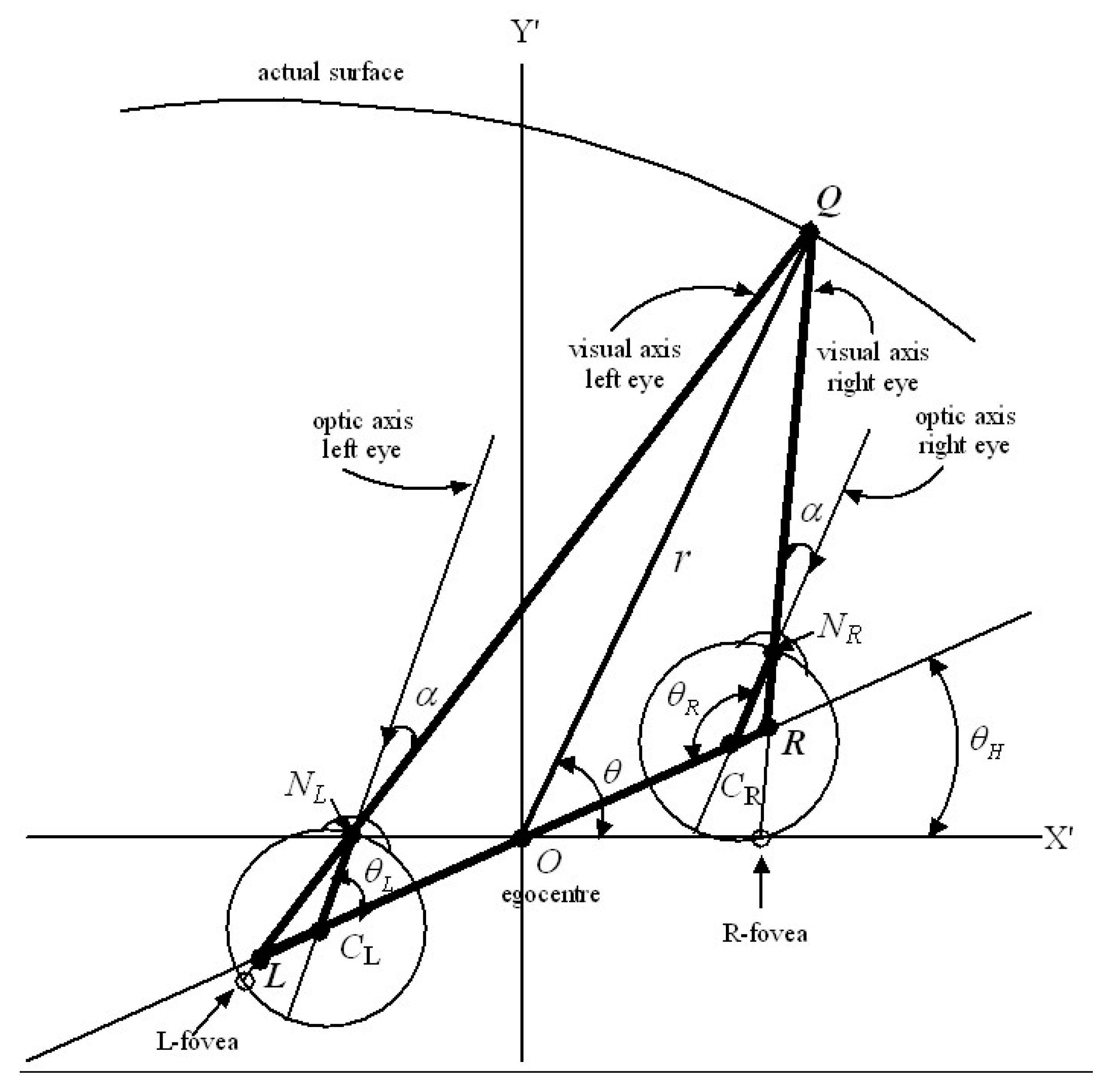 Vision 02 00043 g001