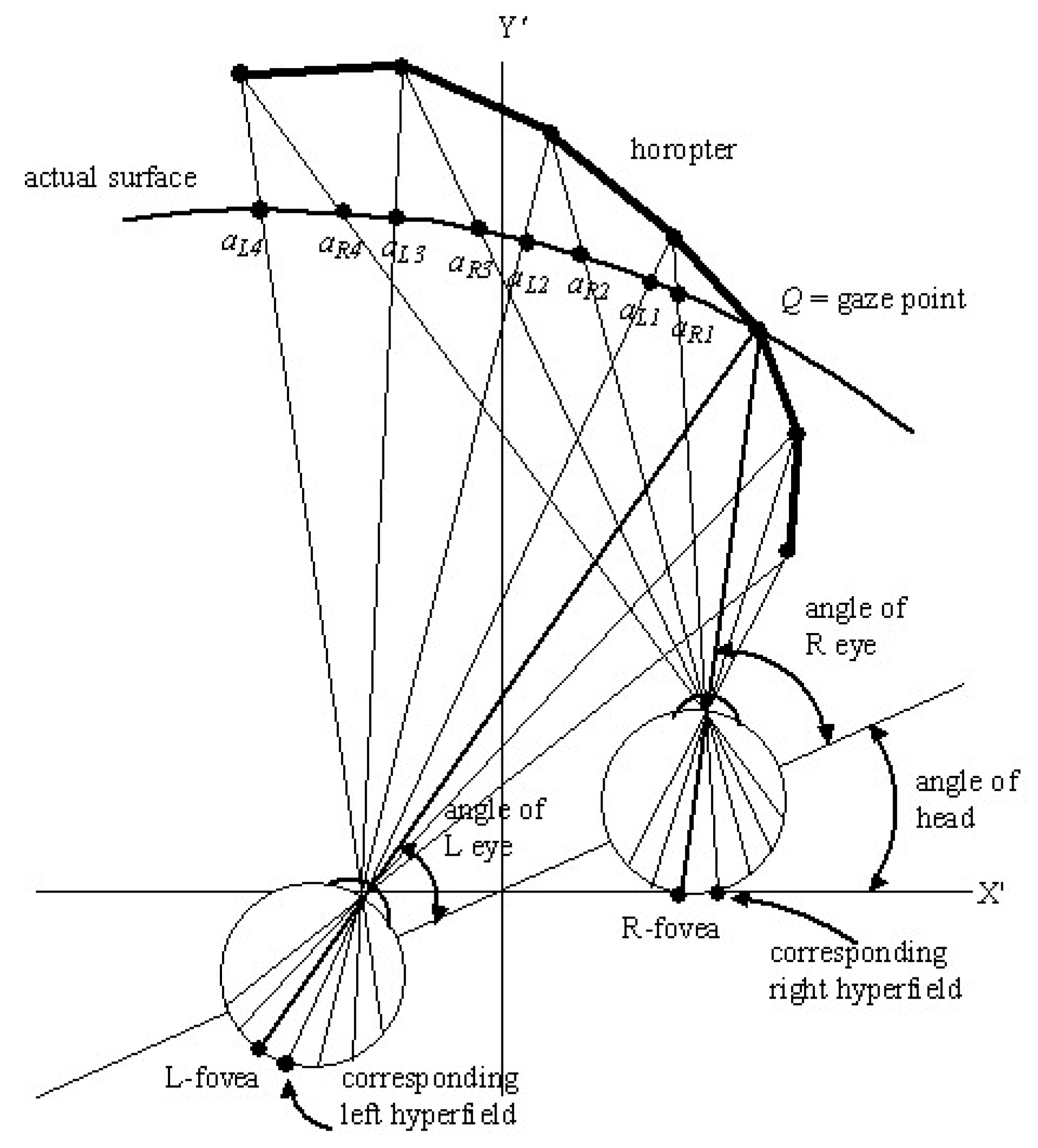 Vision 02 00043 g002