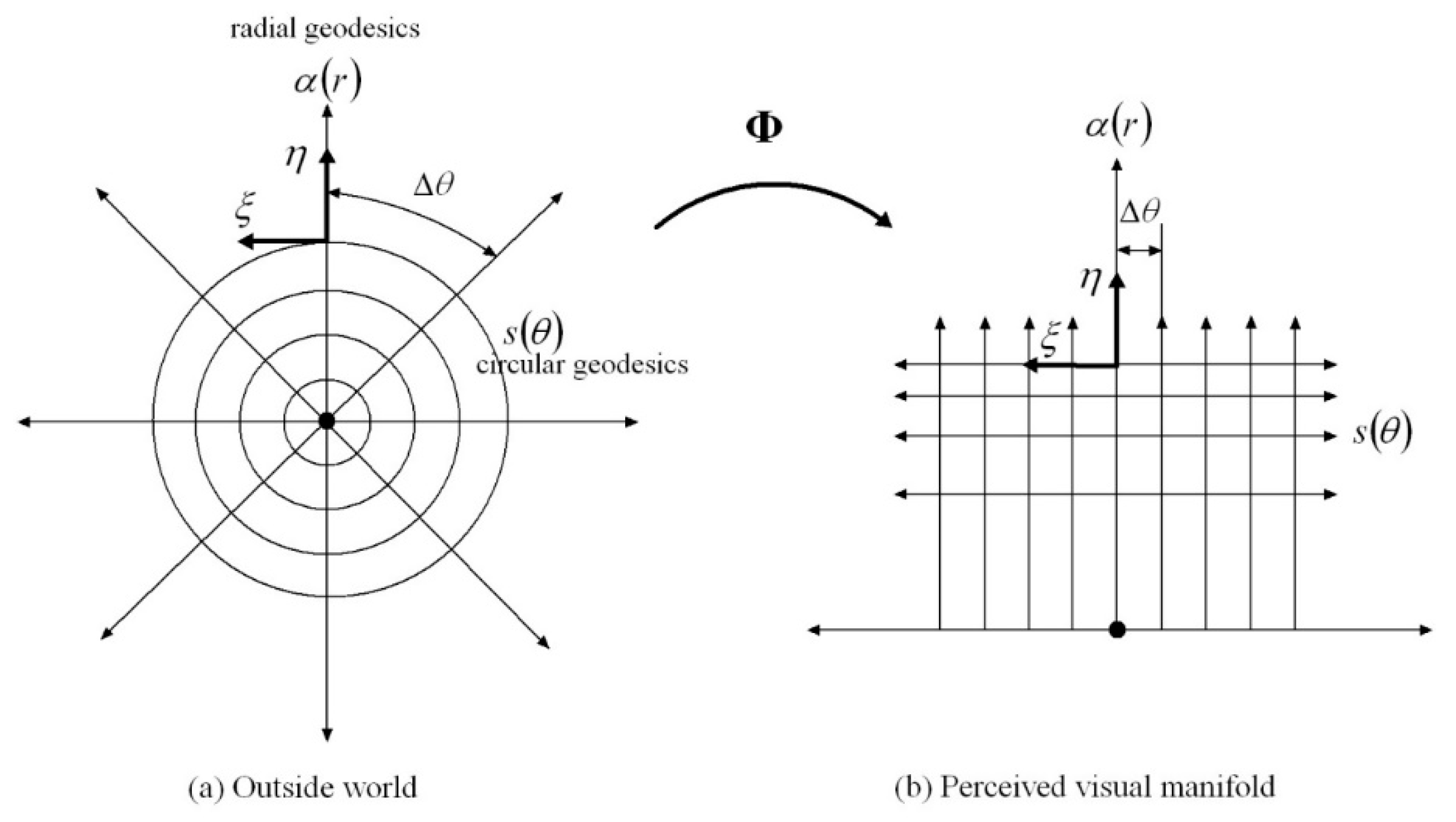 Vision 02 00043 g008