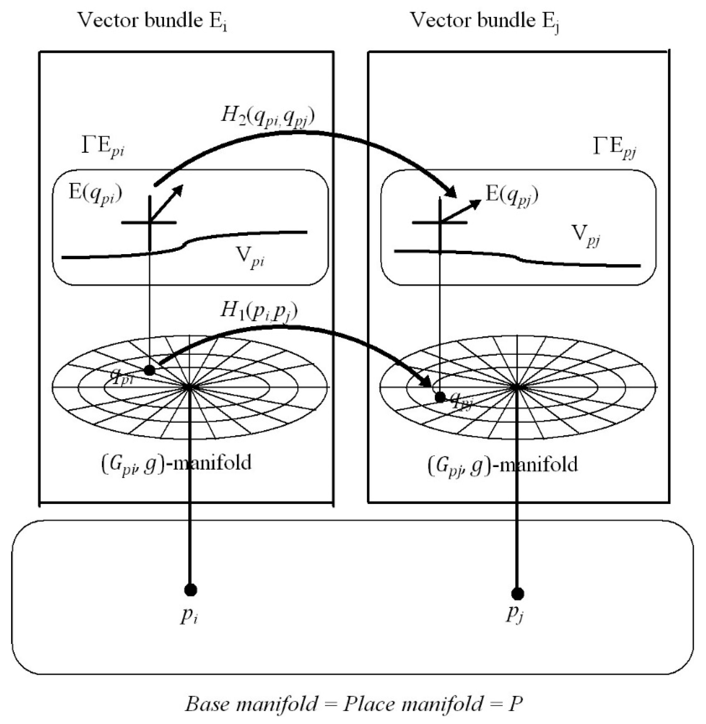 Vision 02 00043 g011