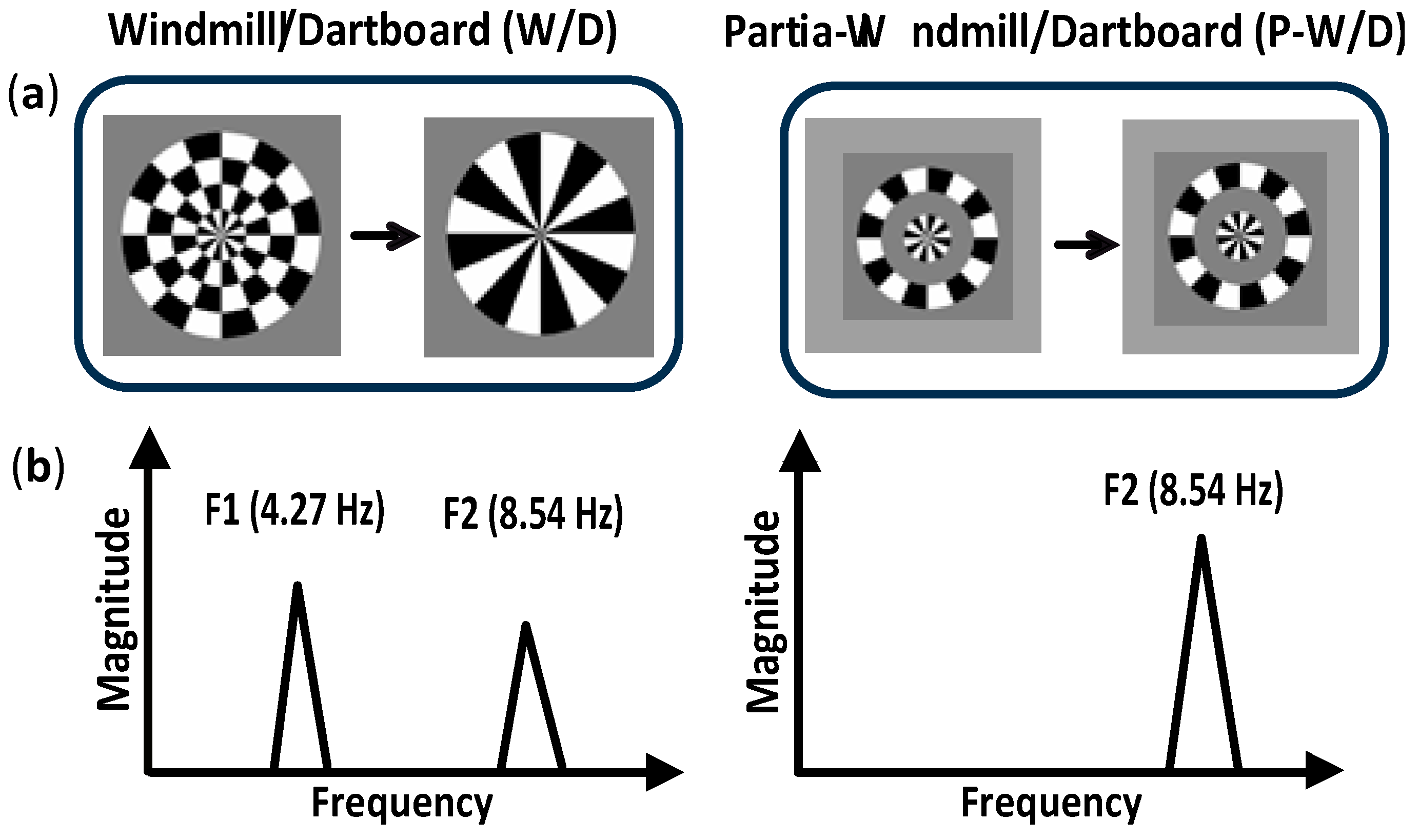 Vision 03 00007 g001