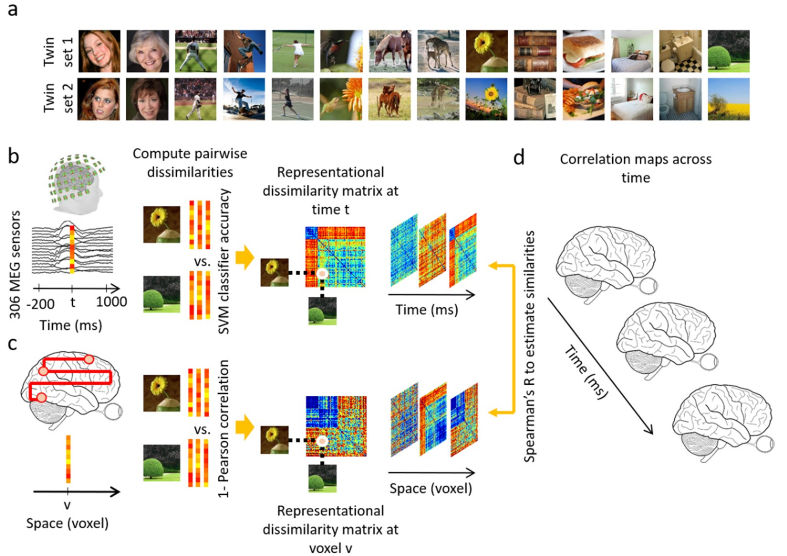 Vision 03 00008 g001