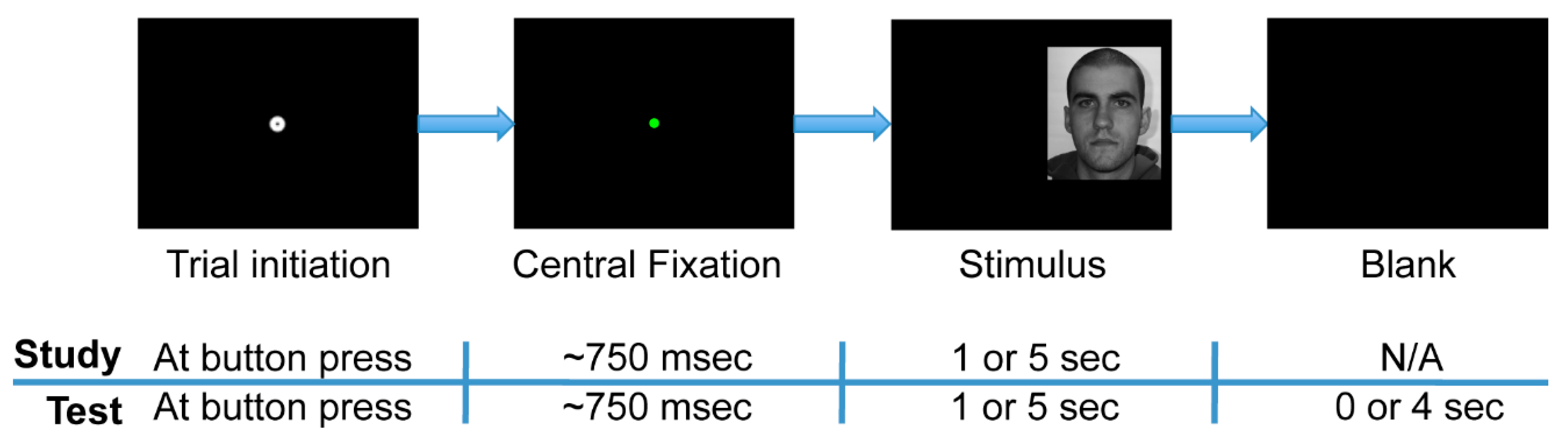 Vision 03 00009 g002