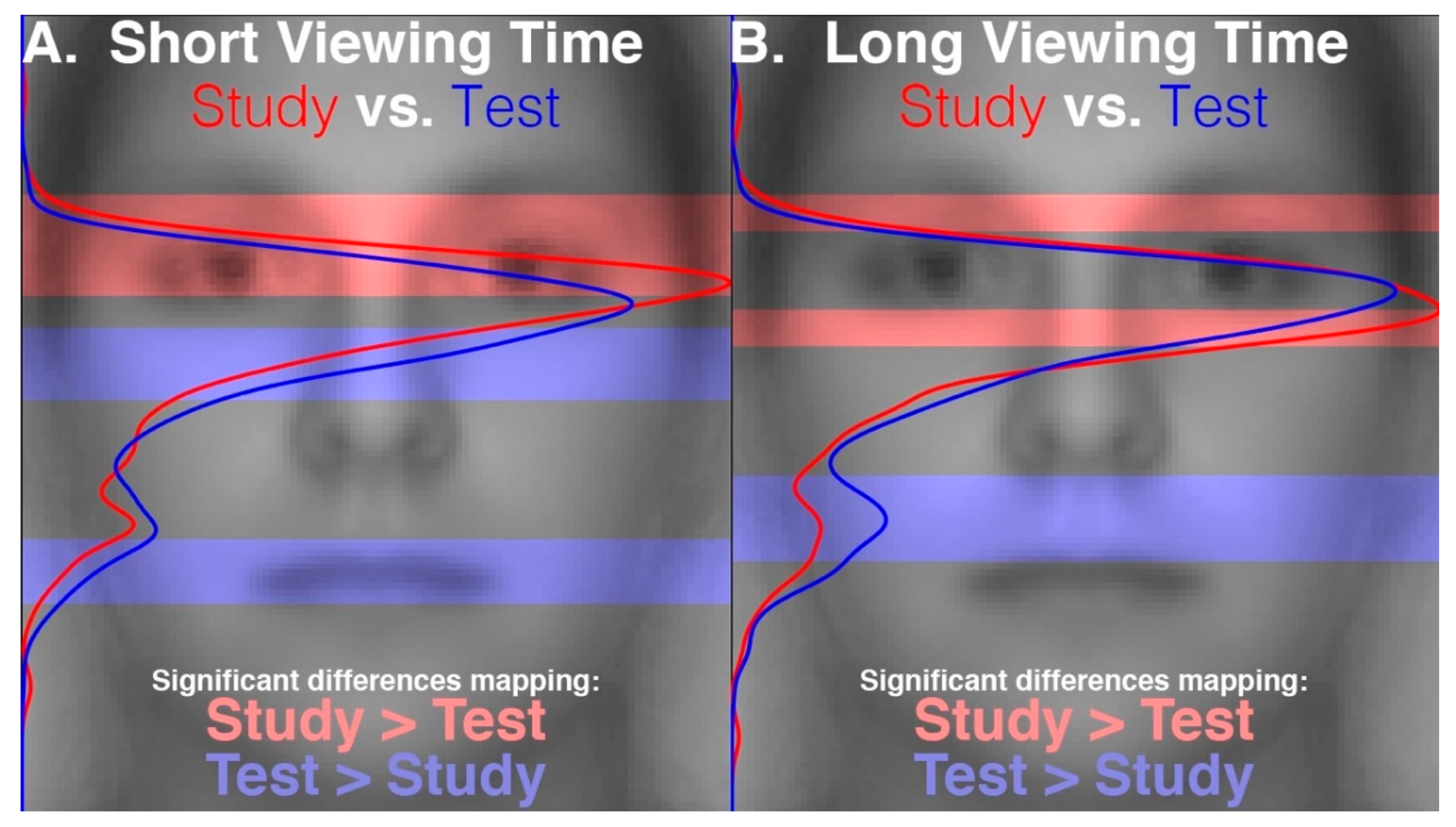 Vision 03 00009 g006