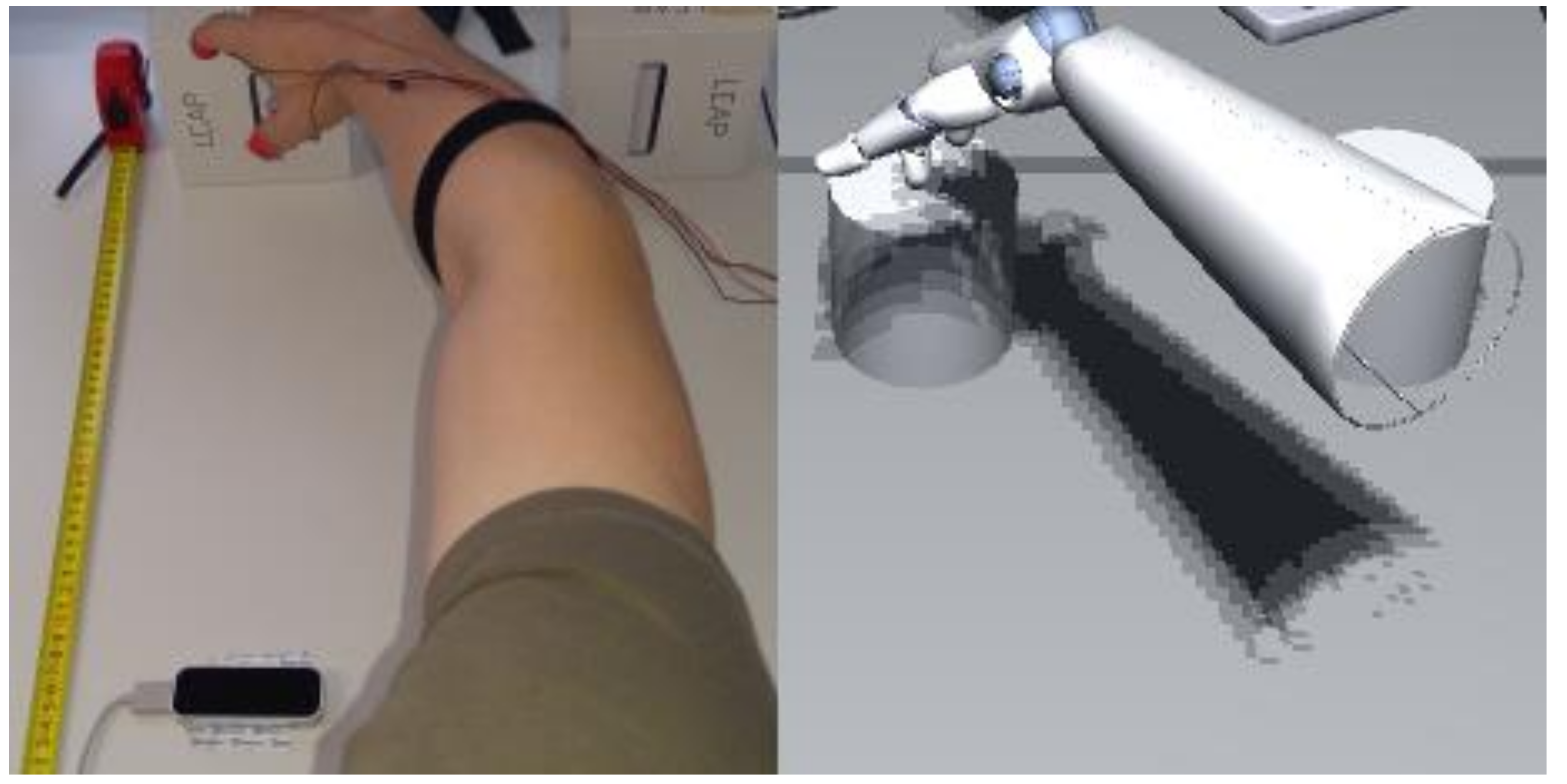 Vision 03 00015 g001