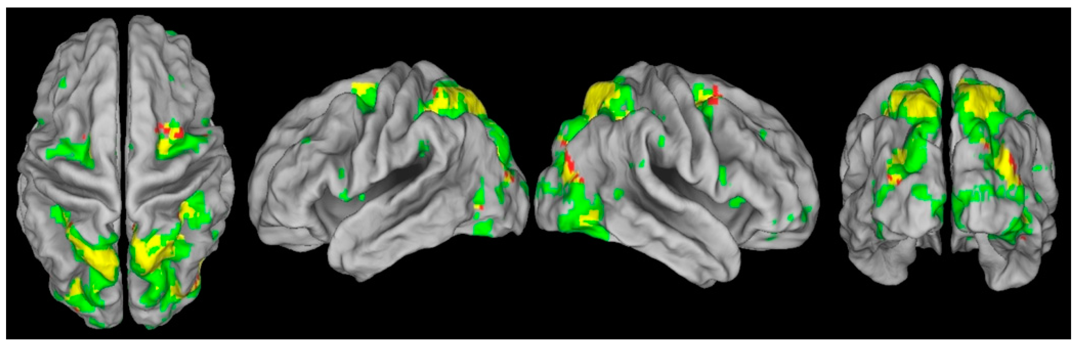 Vision 03 00017 g001