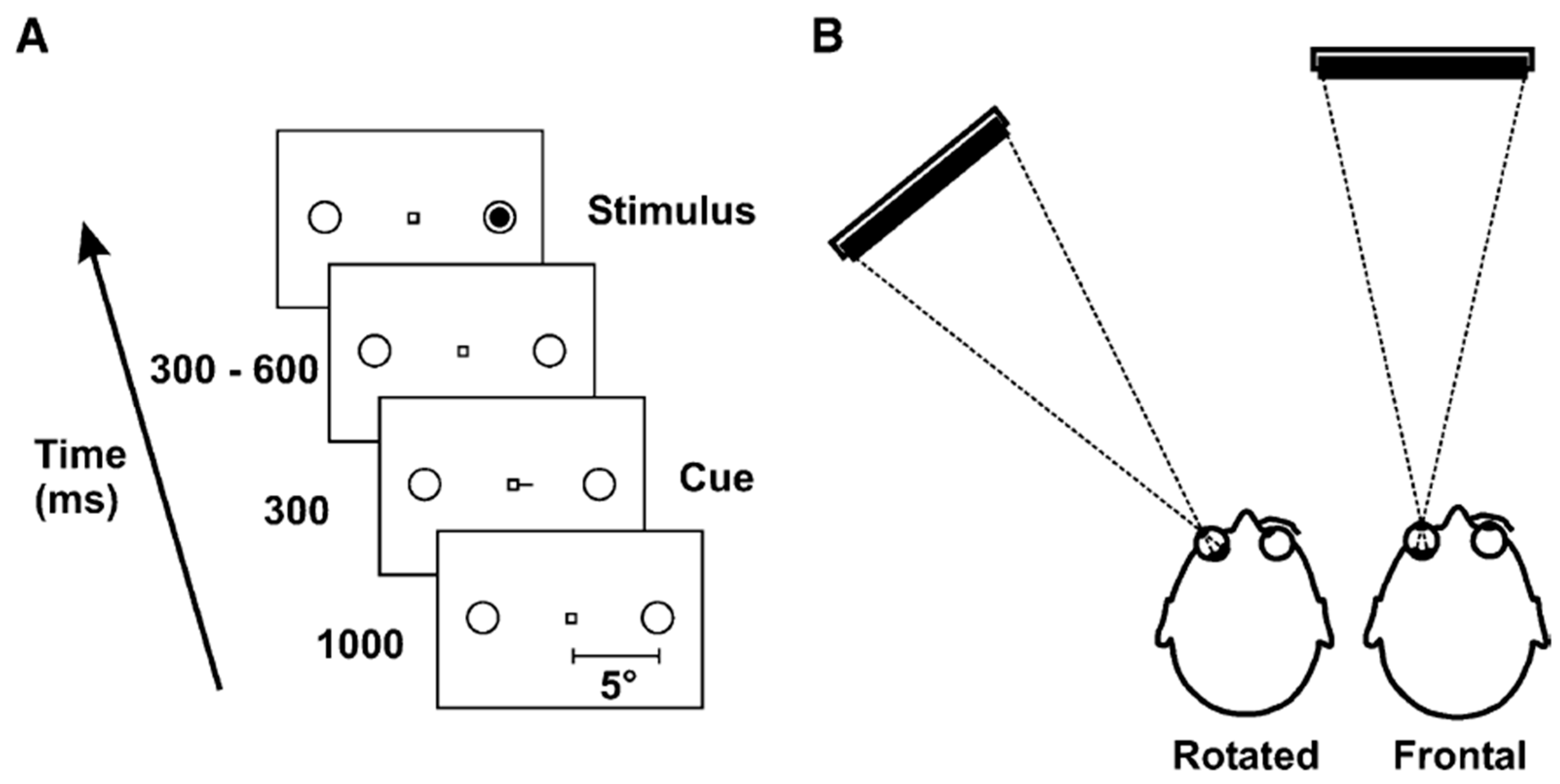 Vision 03 00017 g002