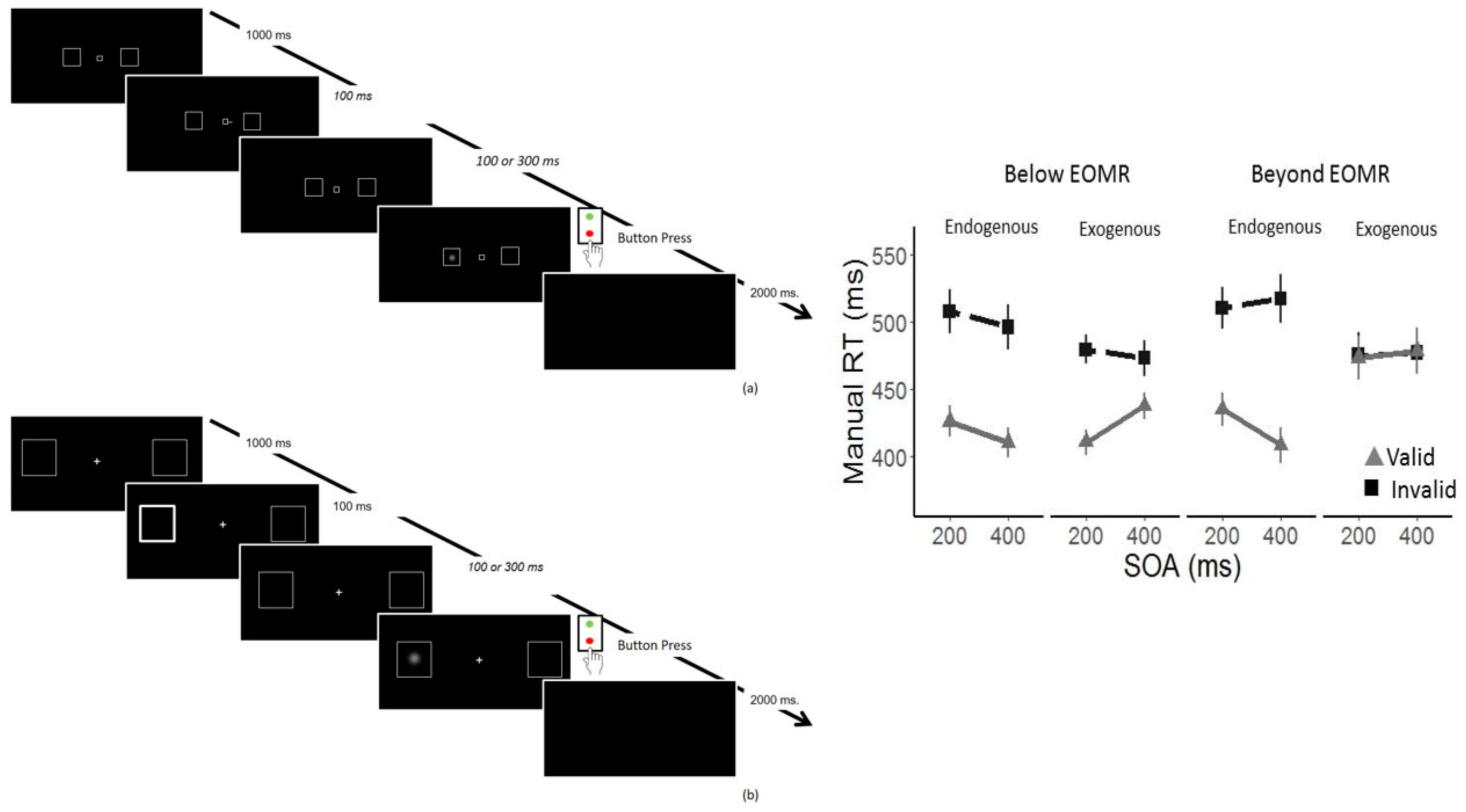 Vision 03 00017 g003