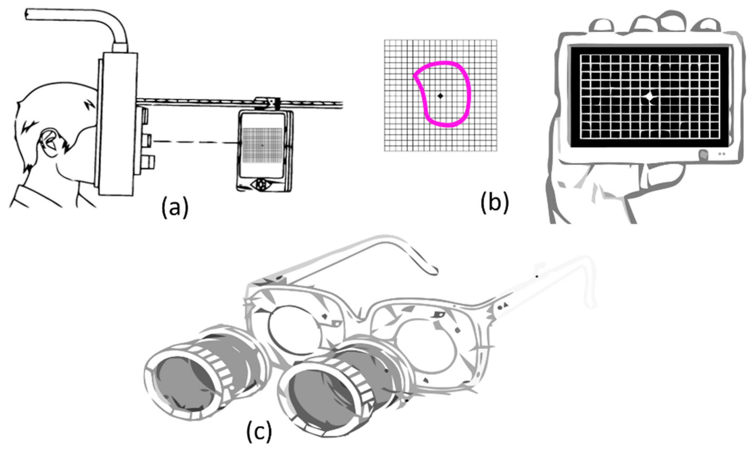 Vision 03 00025 g004 Vision 03 00025 g004