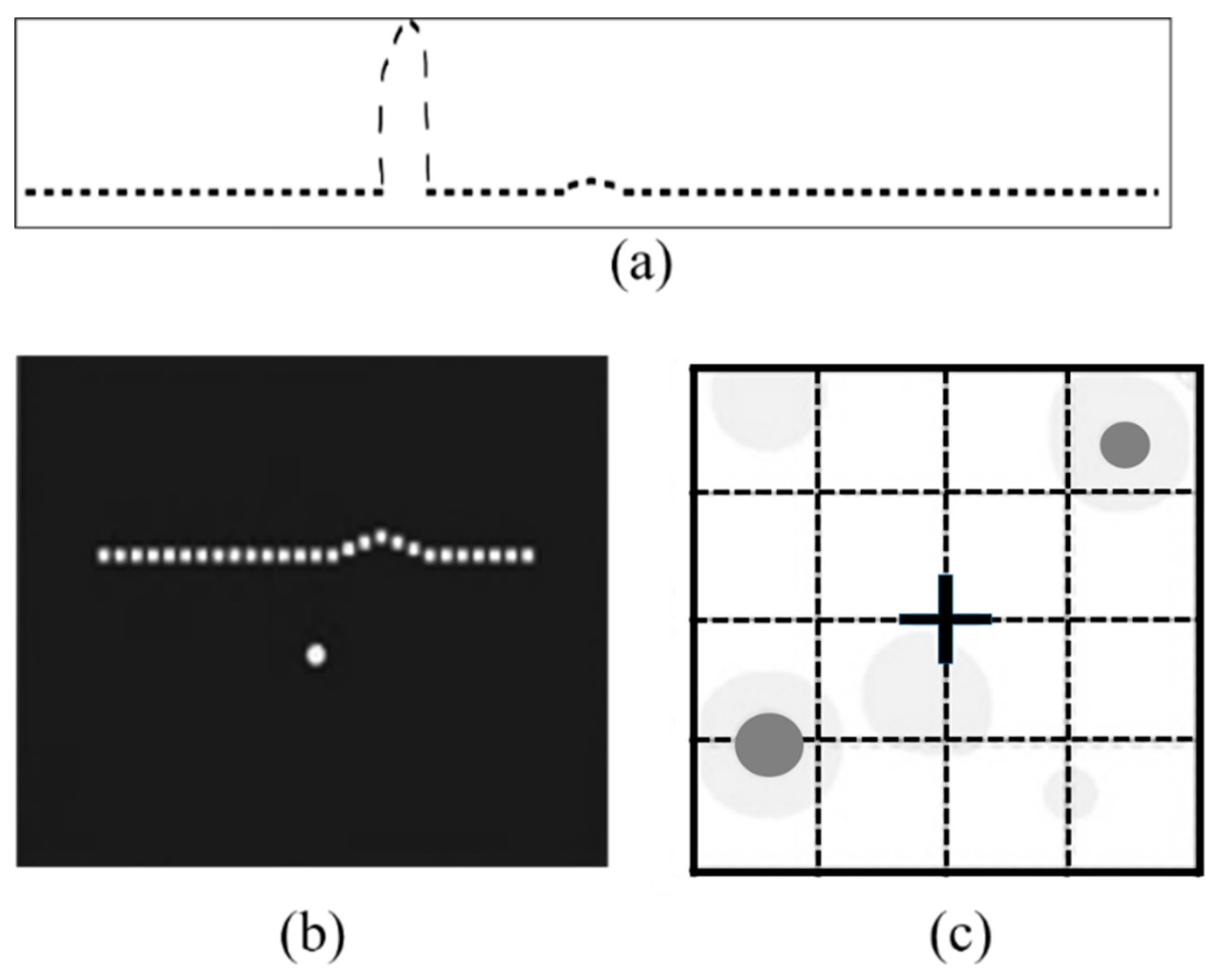 Vision 03 00025 g006 Vision 03 00025 g006