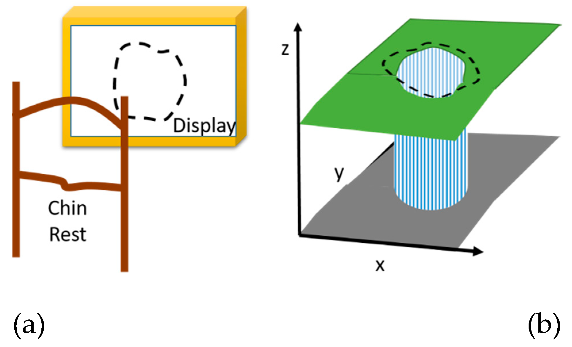 Vision 03 00025 g007 Vision 03 00025 g007
