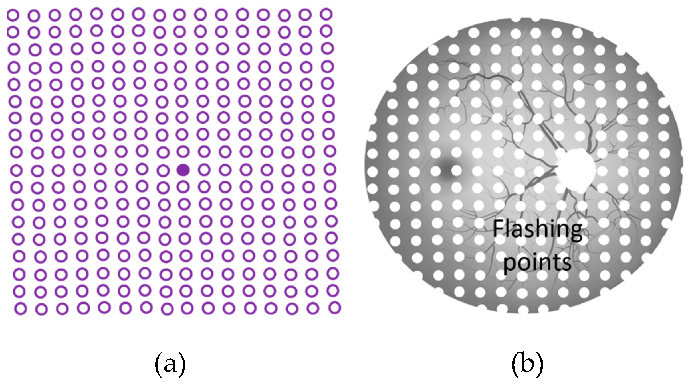 Vision 03 00025 g012 Vision 03 00025 g012