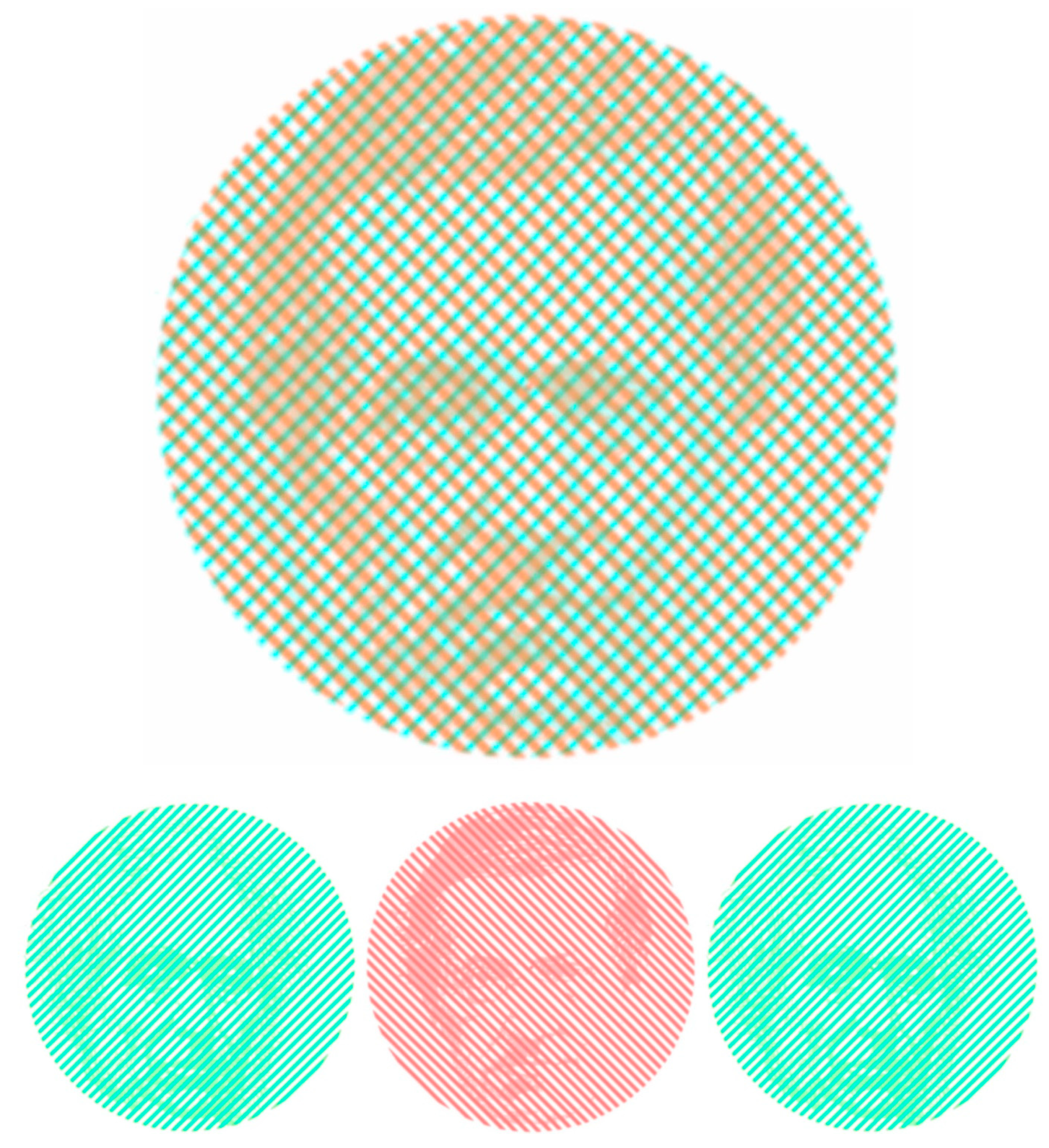 Vision 03 00026 g004