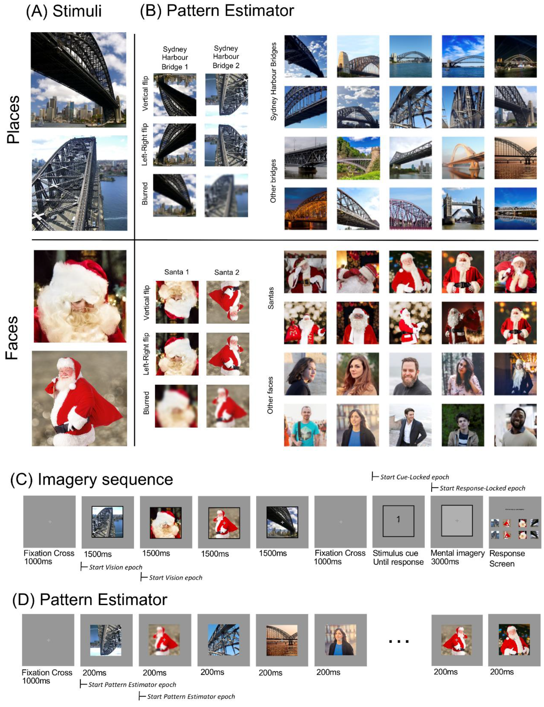 Vision 03 00053 g001