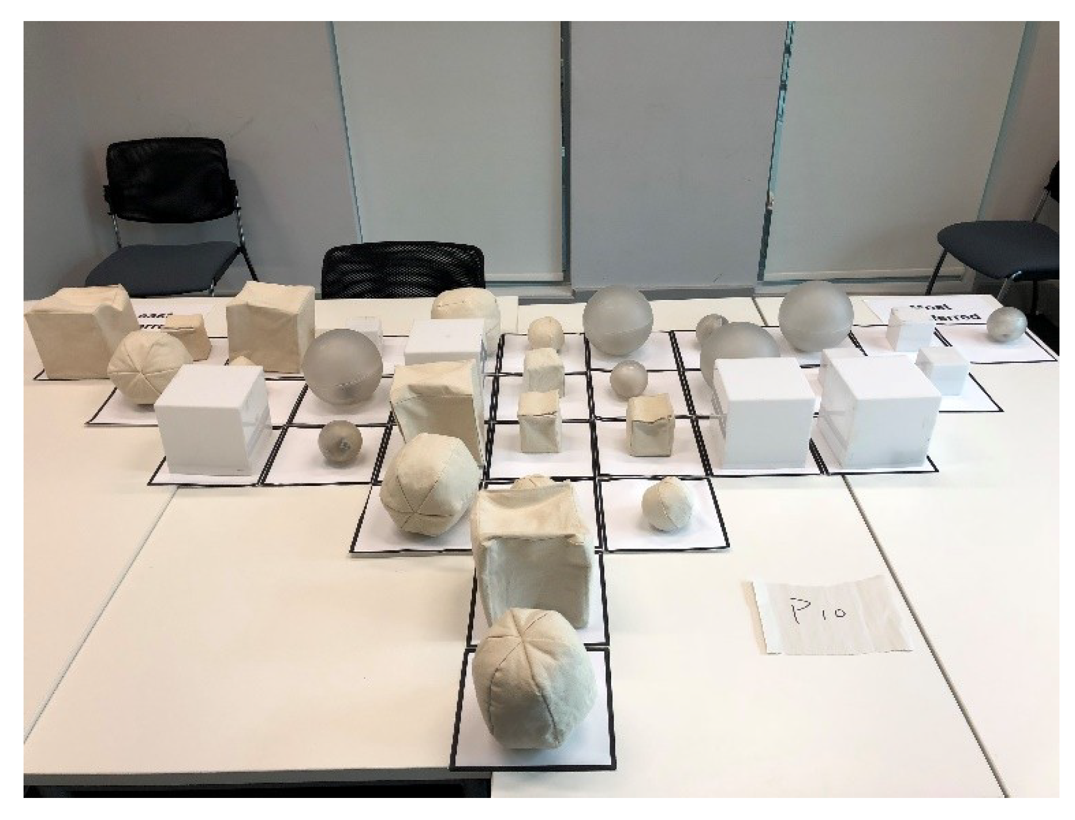 Vision 04 00006 g004 Vision 04 00006 g004