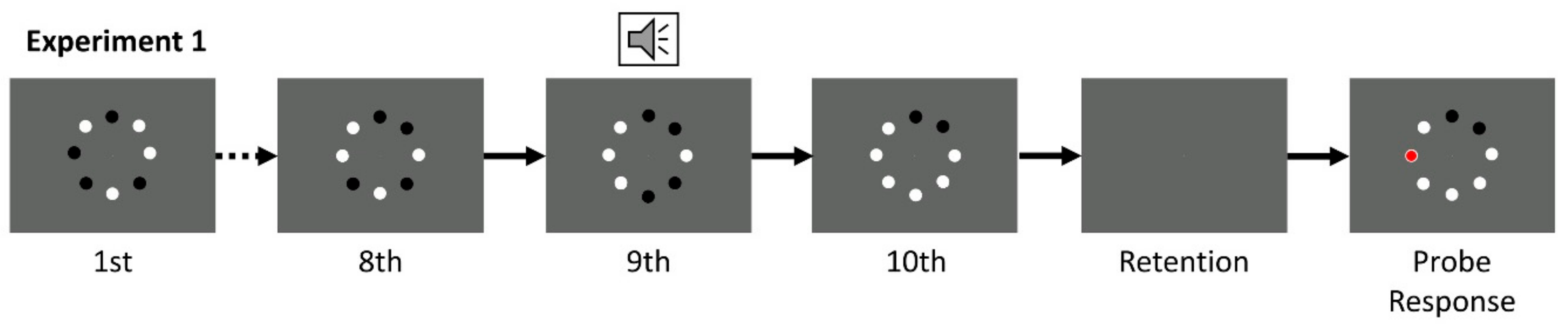 Vision 04 00009 g001