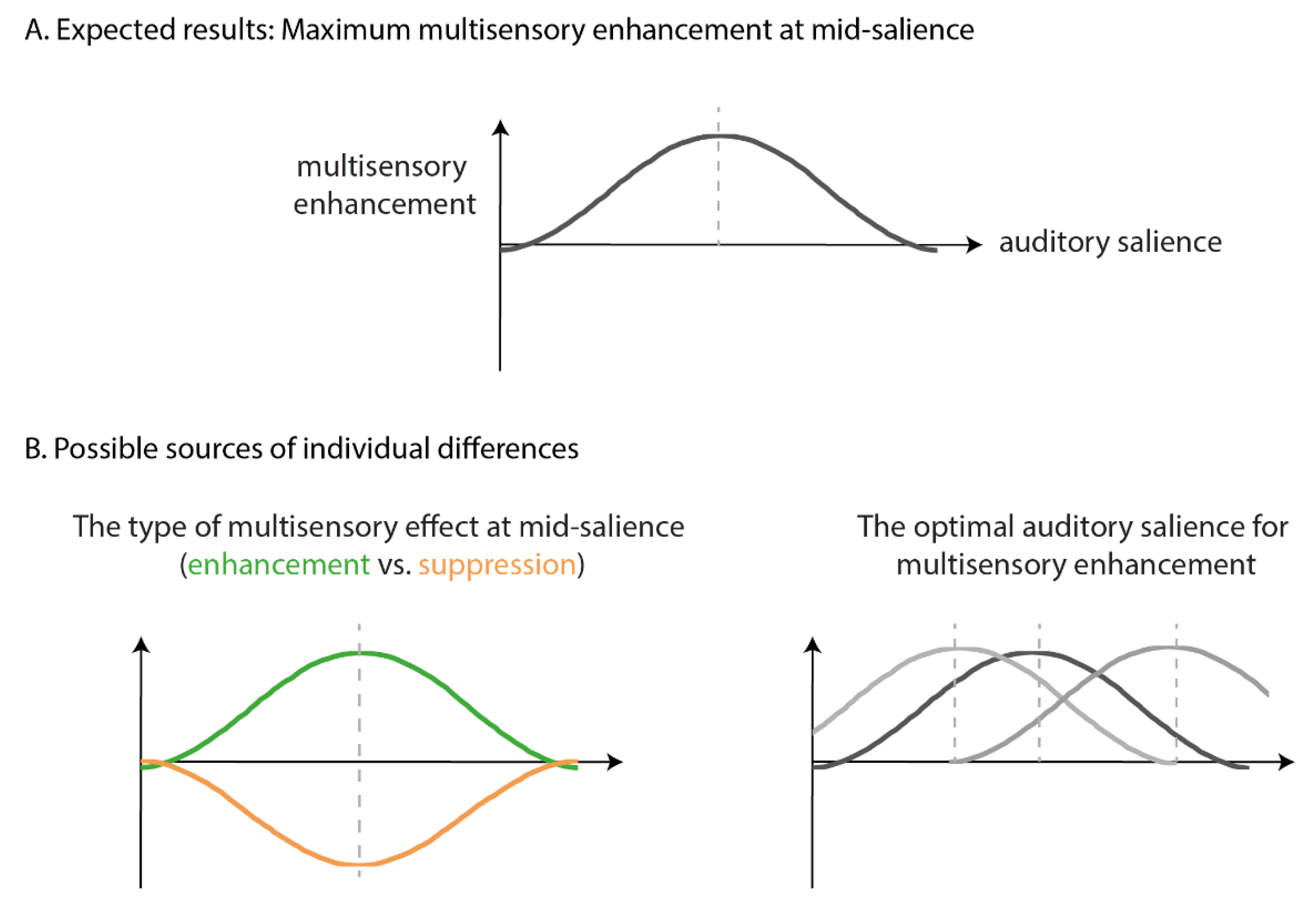 Vision 04 00012 g003