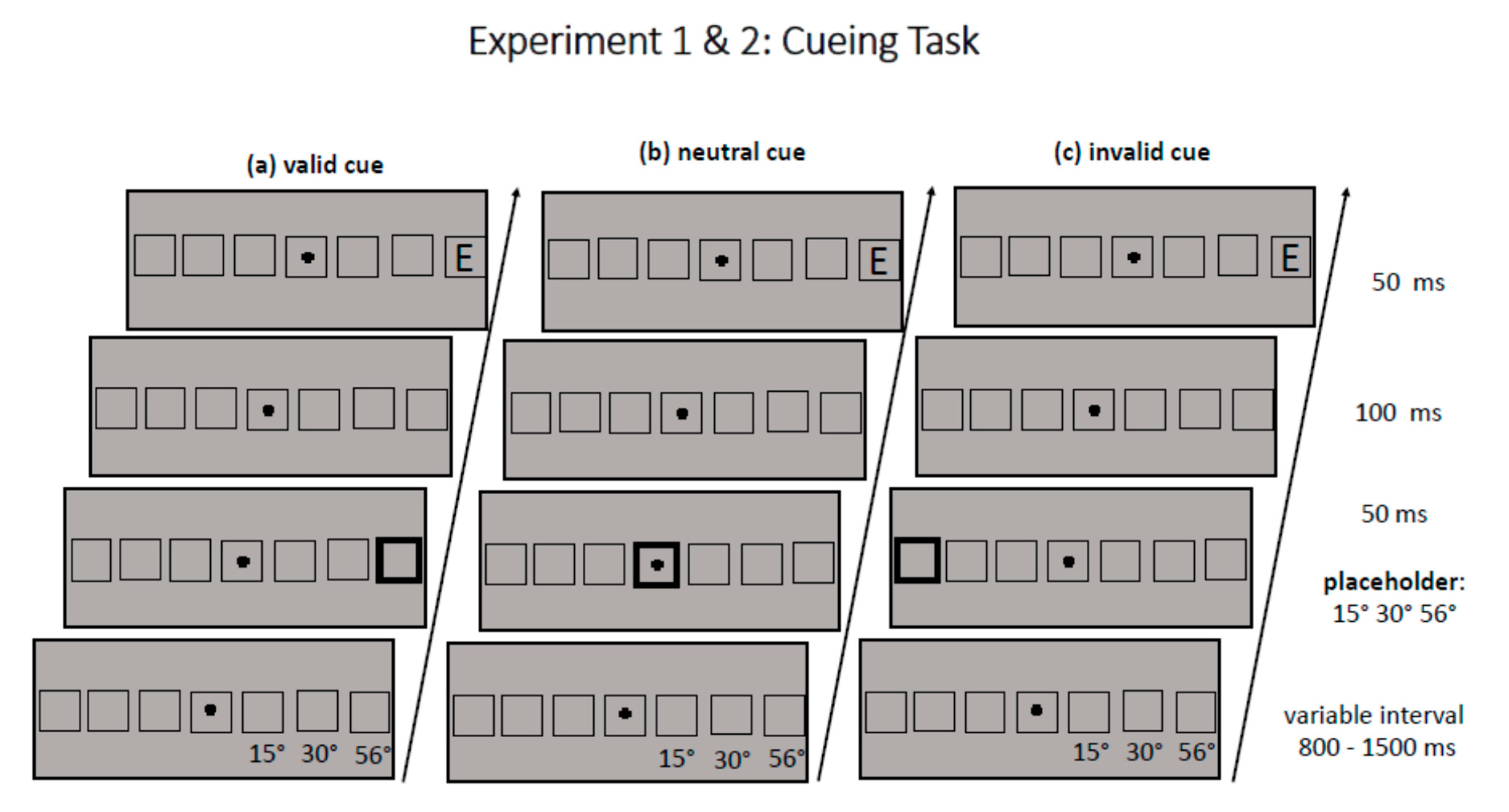 Vision 04 00013 g001