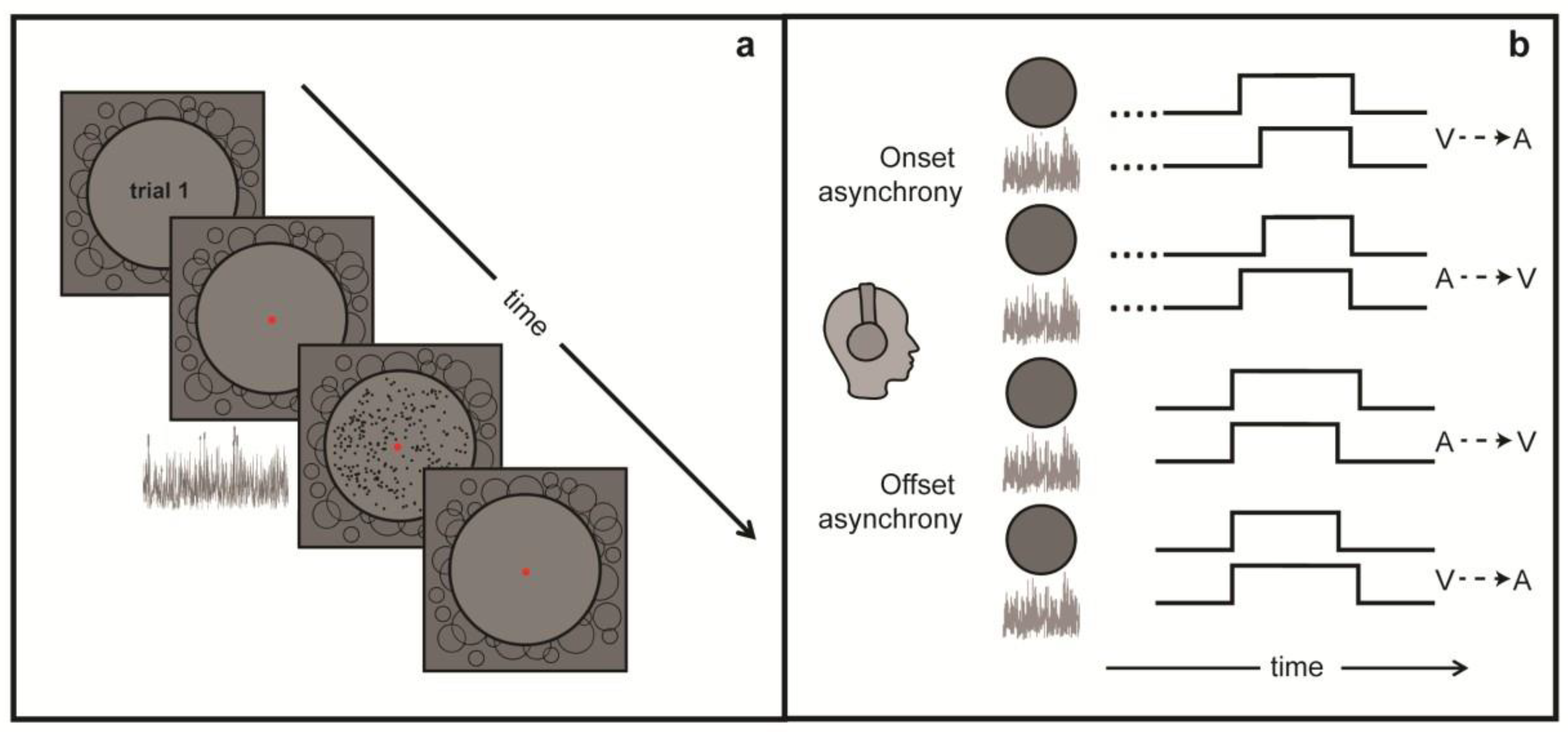 Vision 04 00017 g001