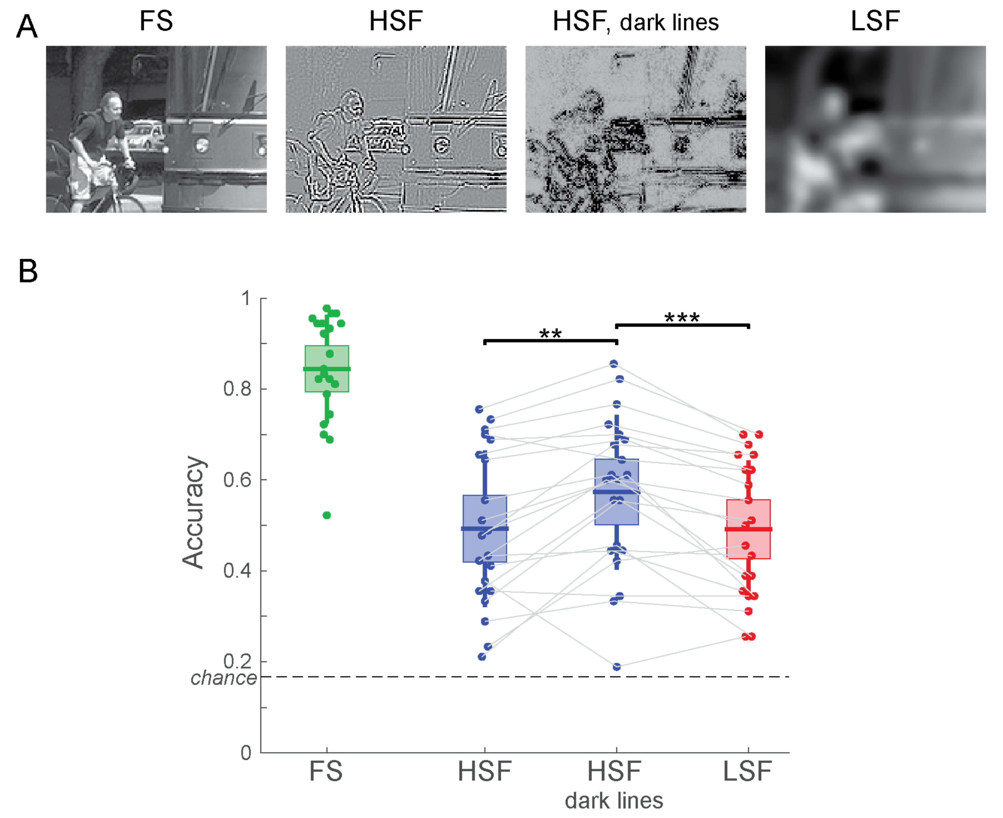 Vision 04 00029 g005