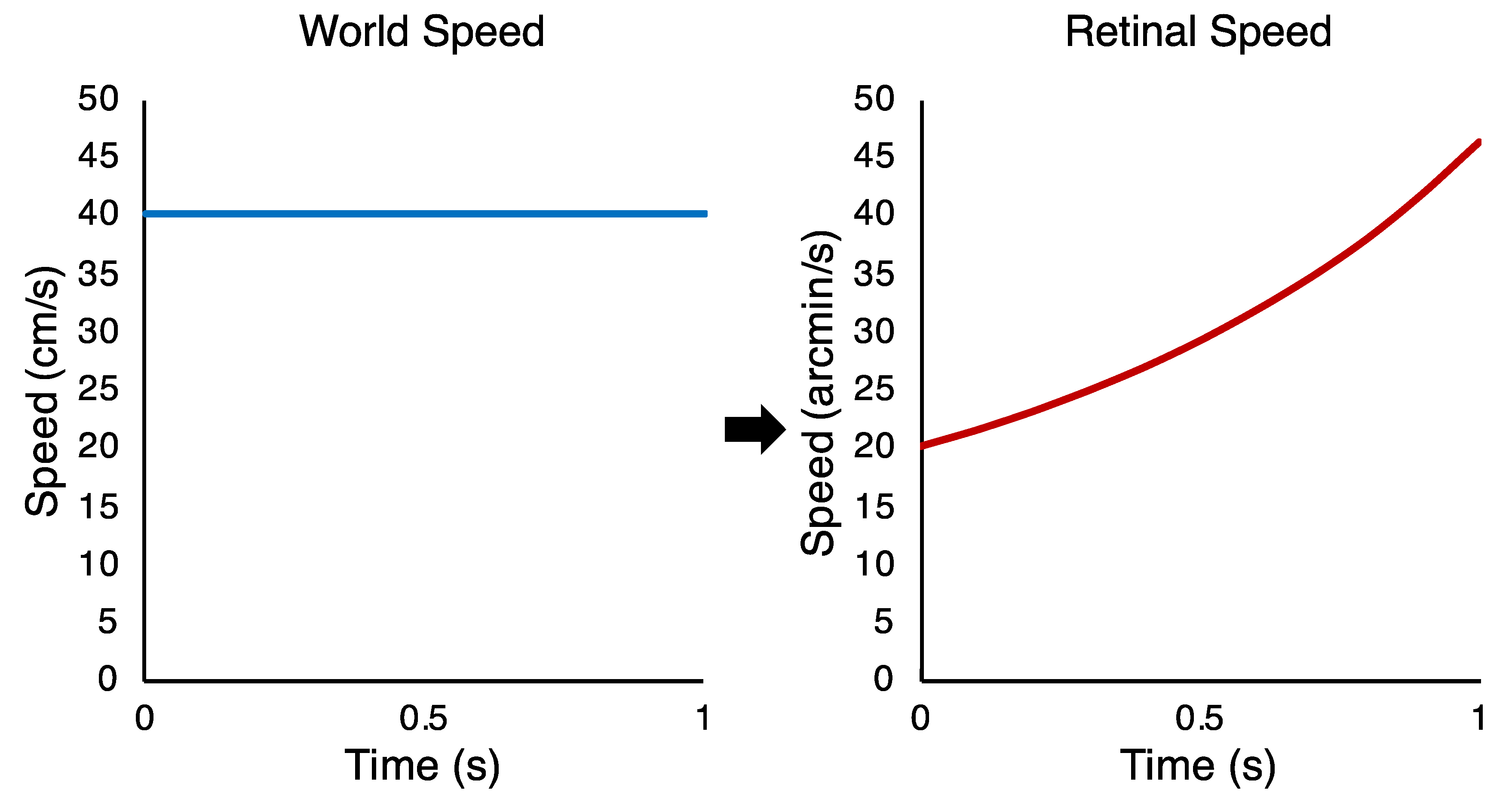 Vision 04 00033 g002