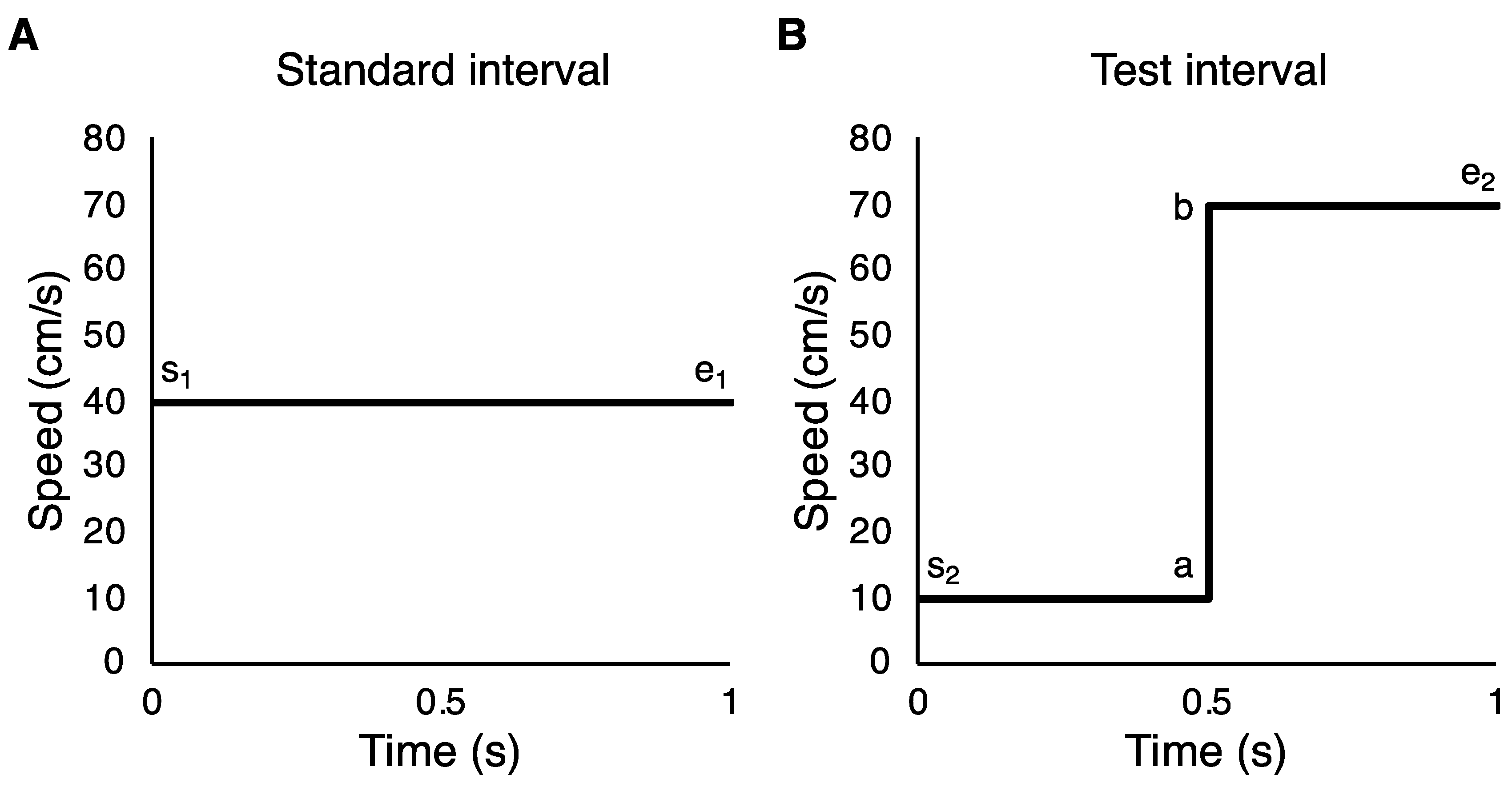Vision 04 00033 g003