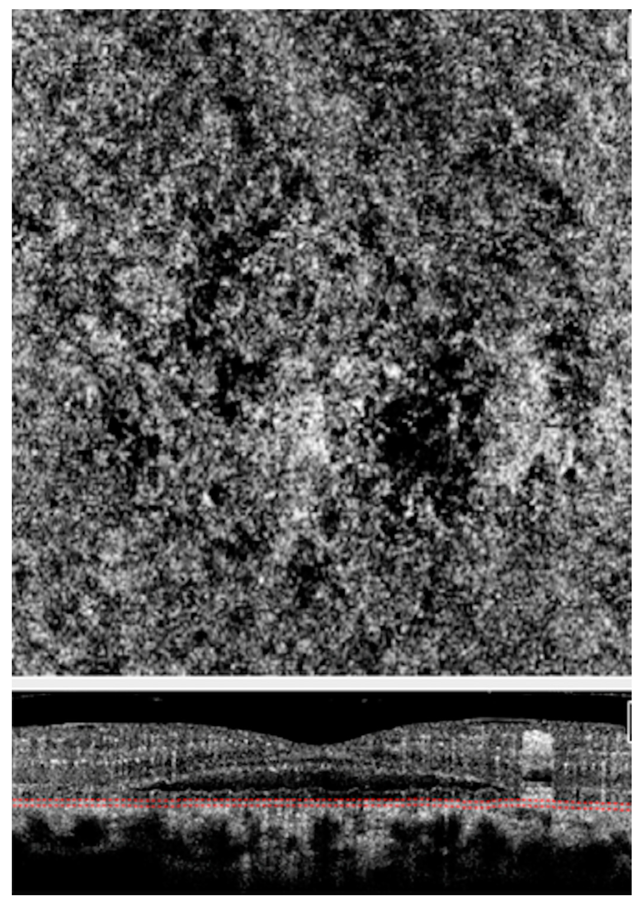 Vision 04 00044 g005 Vision 04 00044 g005