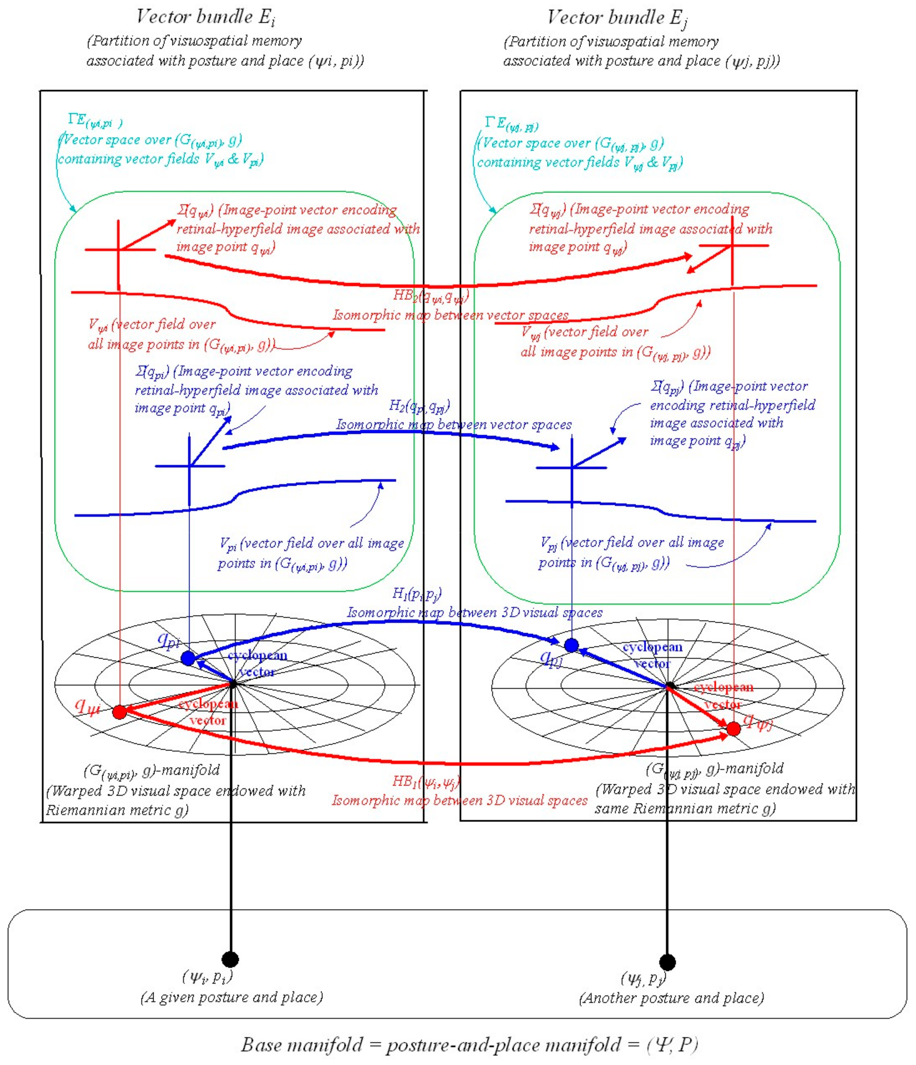 Vision 05 00026 g002