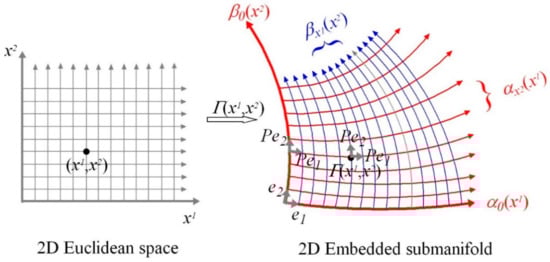 Vision 05 00026 g003