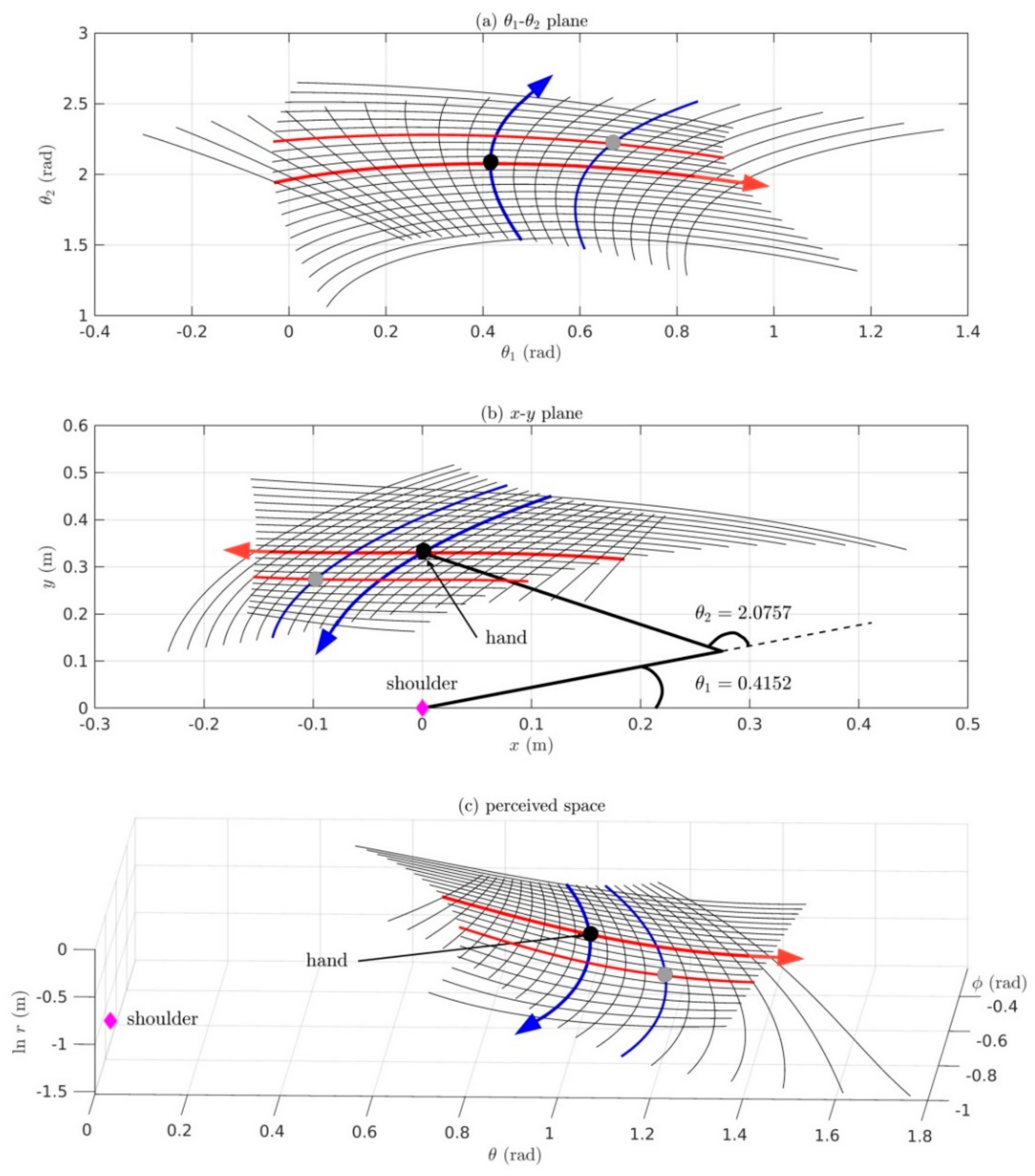 Vision 05 00026 g004