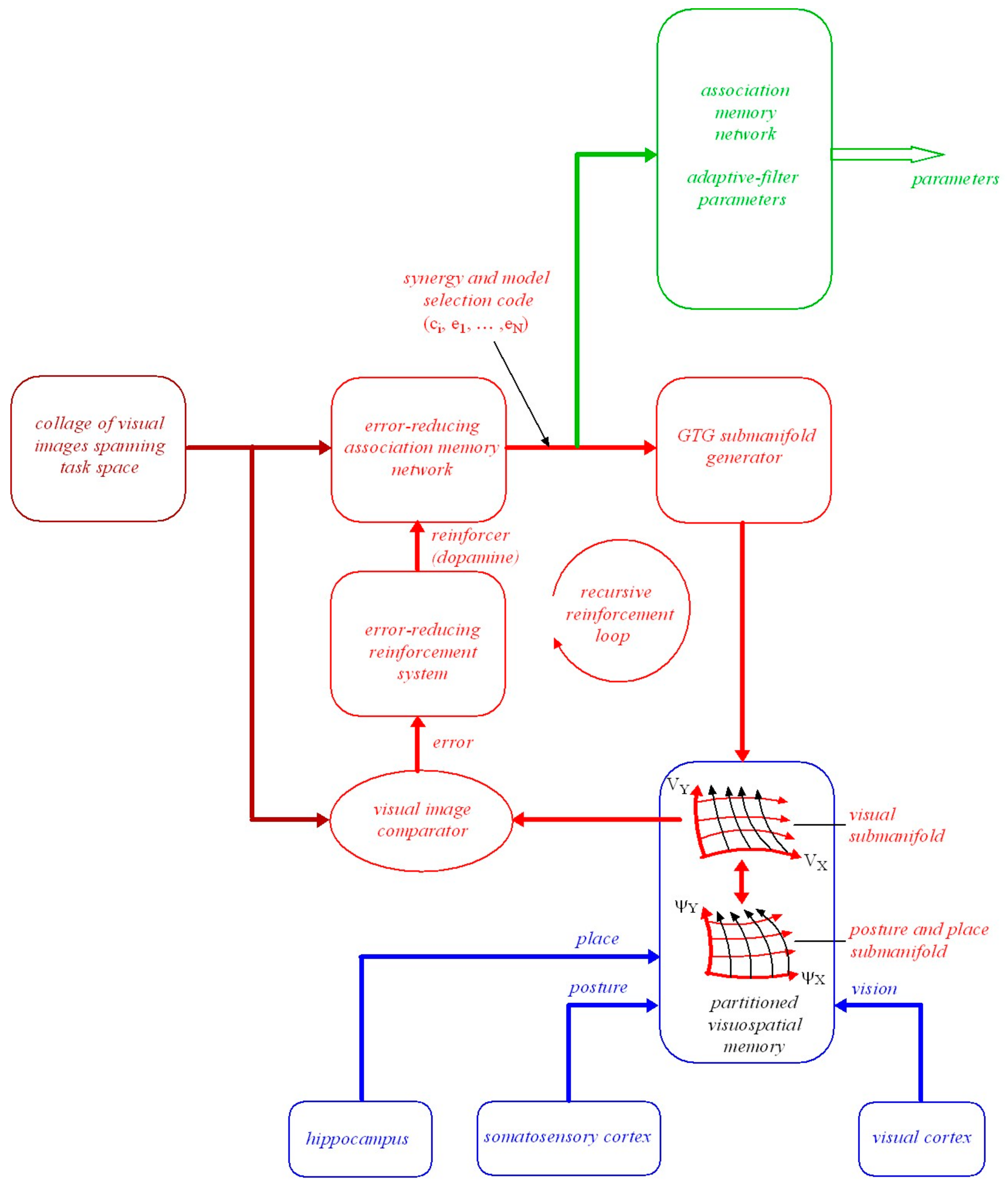 Vision 05 00026 g005