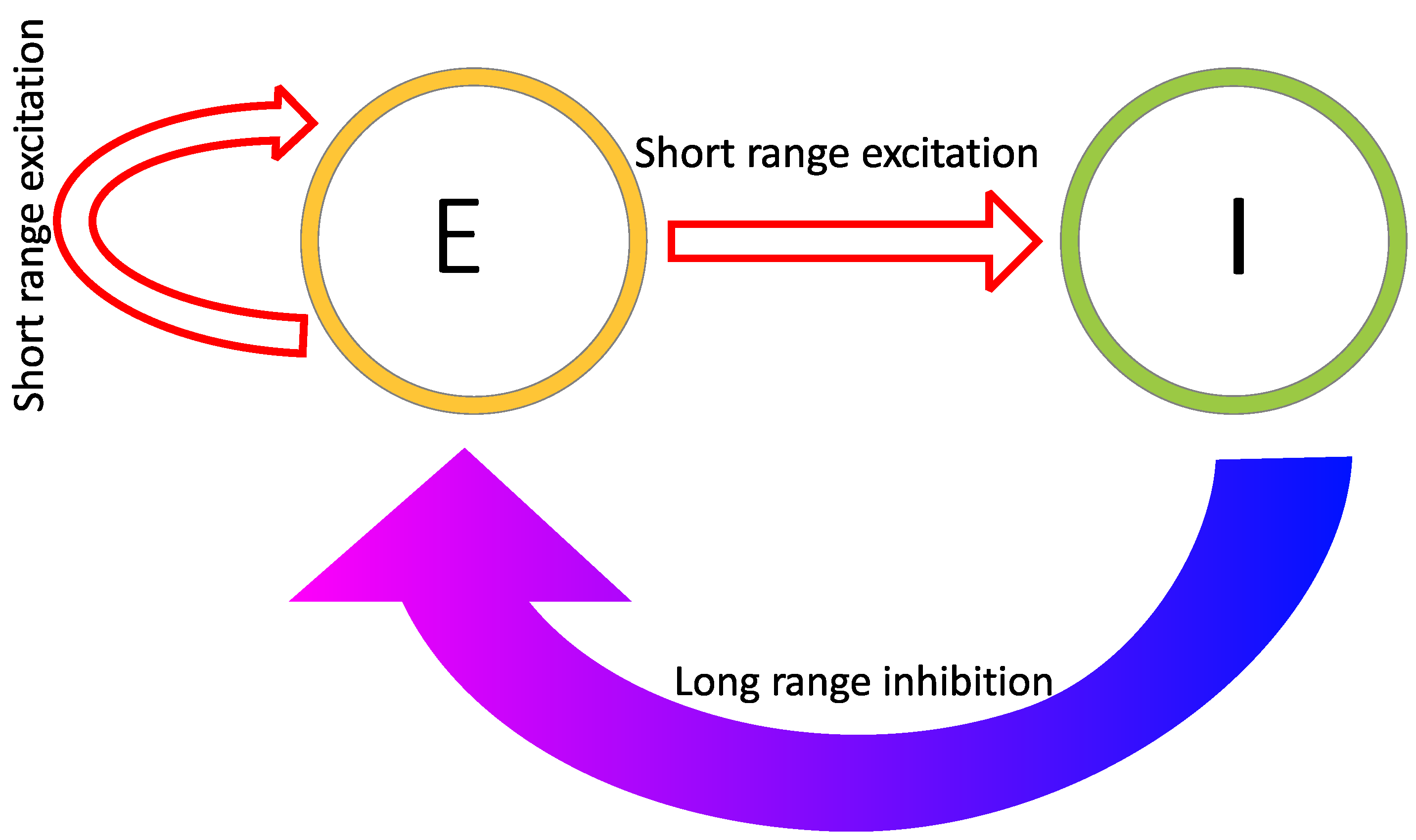 Vision 05 00030 g006 Vision 05 00030 g006