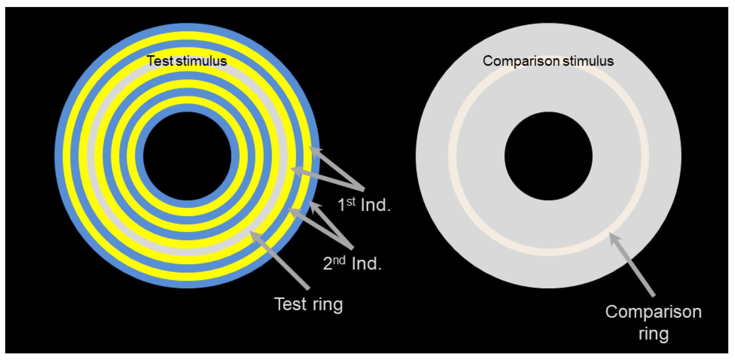 Vision 05 00037 g002 Vision 05 00037 g002